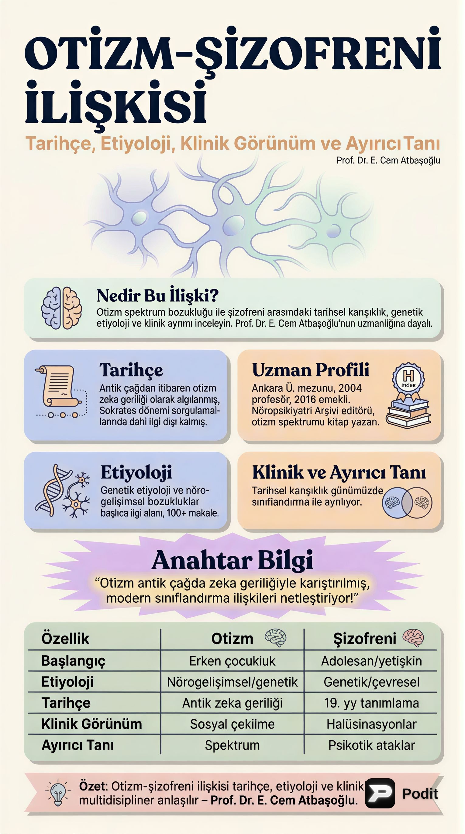 Otizm ve Şizofreni İlişkisi: Kapsamlı Bir Analiz - görsel özet infografik