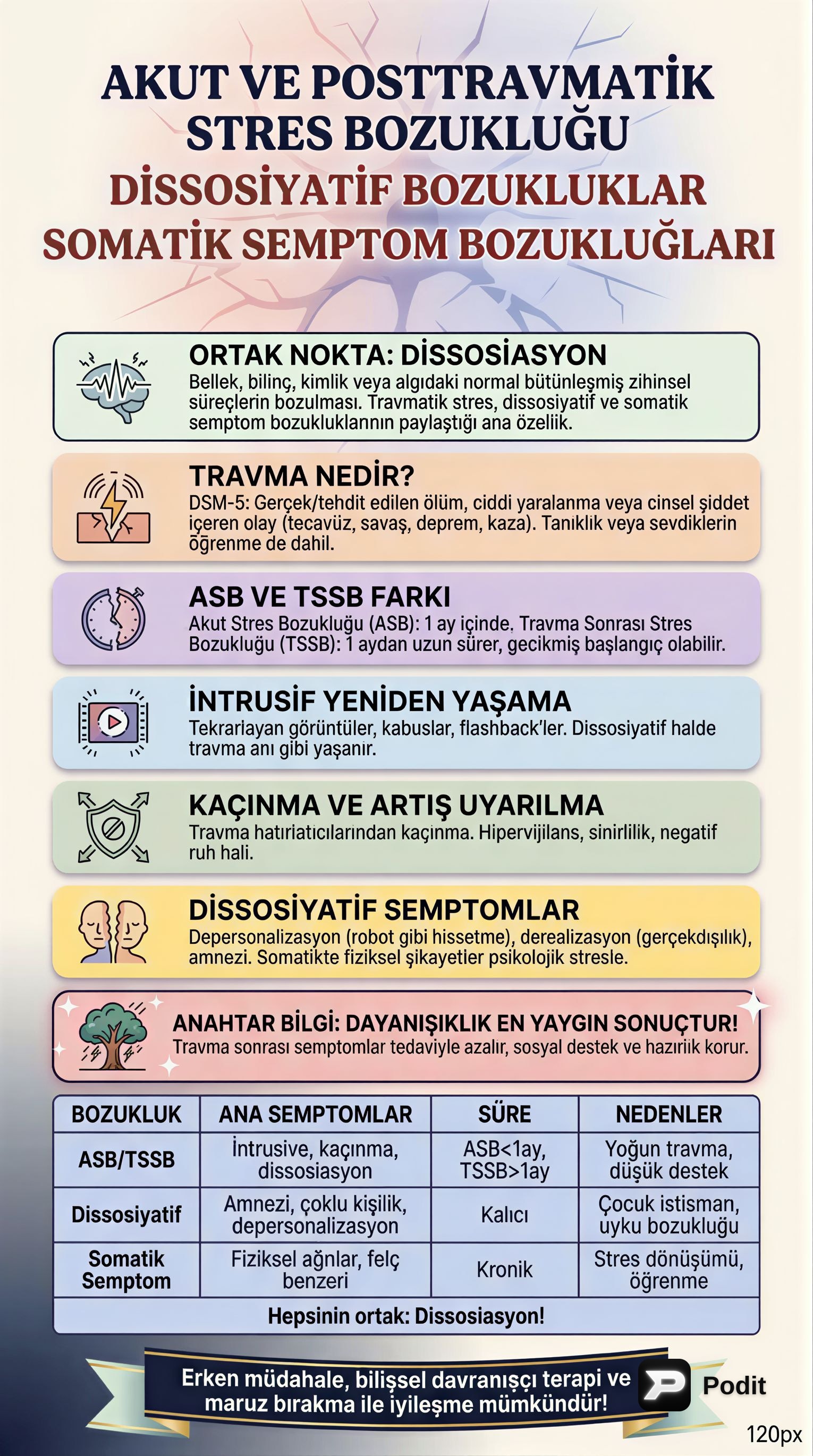 Stres, Disosiyatif ve Somatik Belirti Bozuklukları - görsel özet infografik