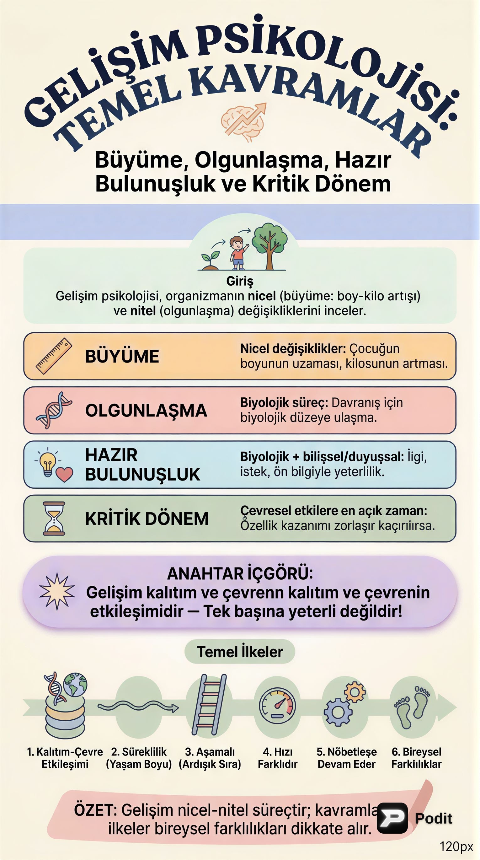 Gelişim Psikolojisi: Temel Kuramlar ve Kavramlar - görsel özet infografik