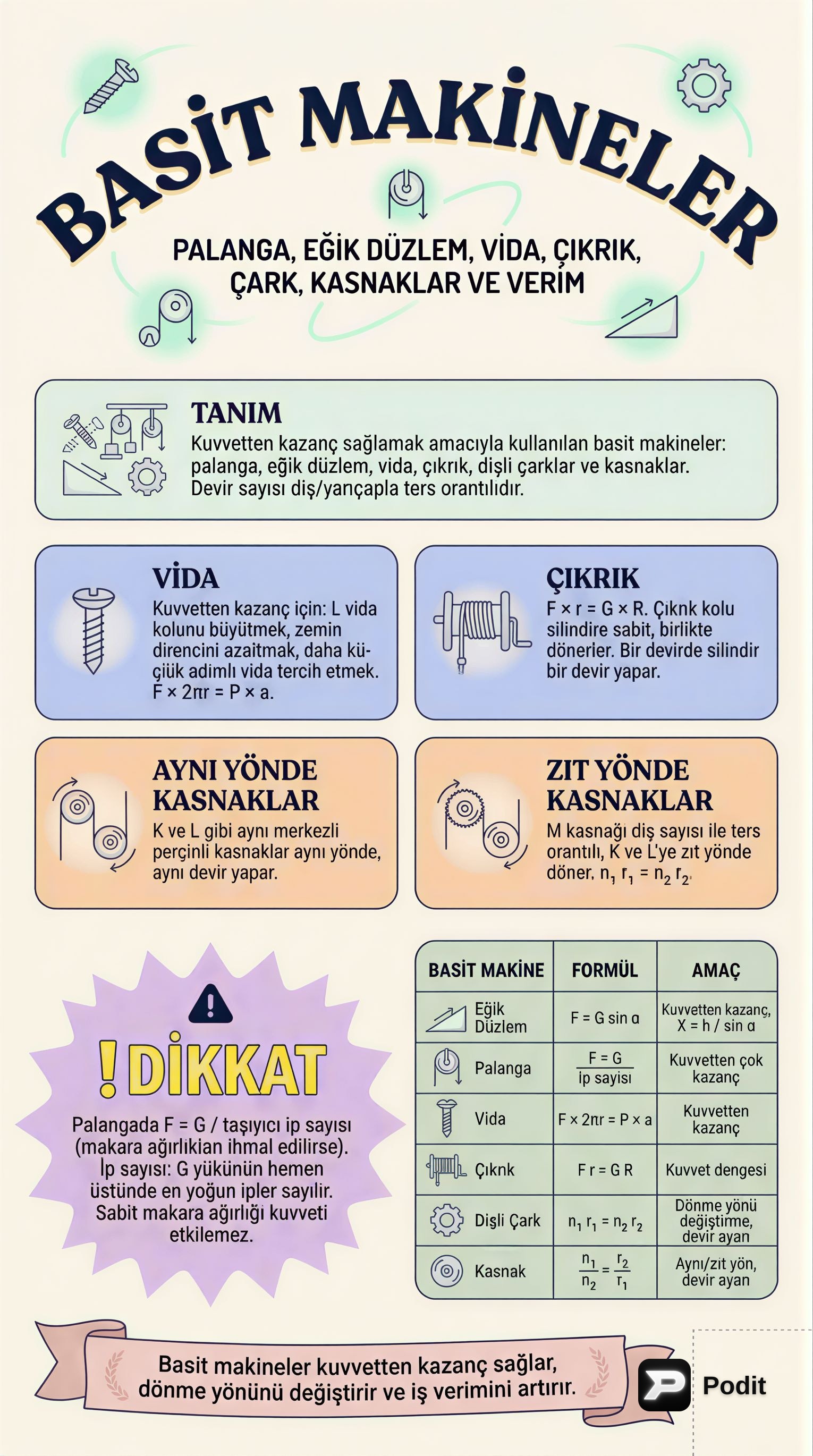 Fizik ve Biyolojide Temel Konulara Genel Bakış - görsel özet infografik