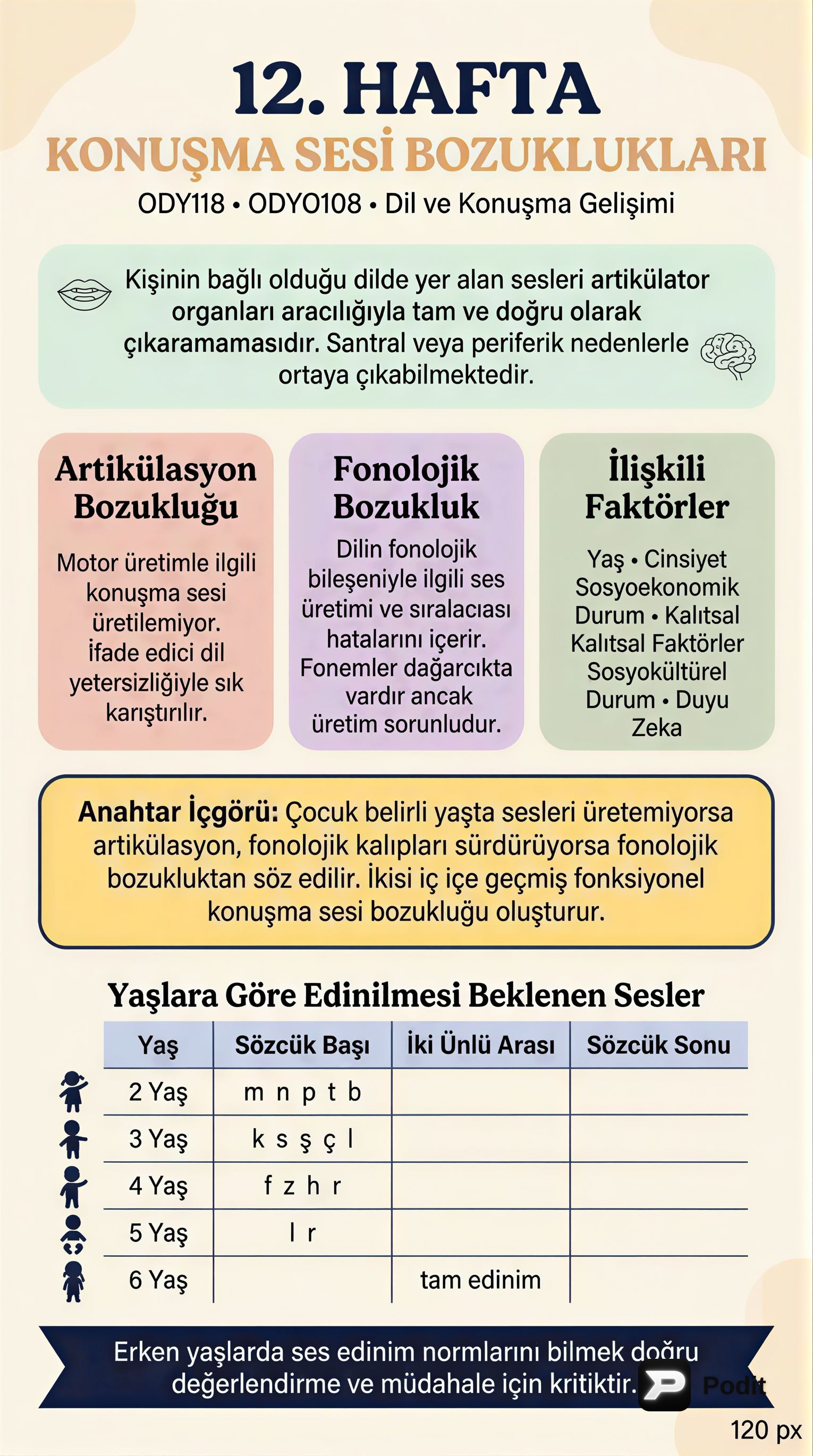 Konuşma Sesi Bozuklukları: Artikülasyon ve Fonoloji - görsel özet infografik