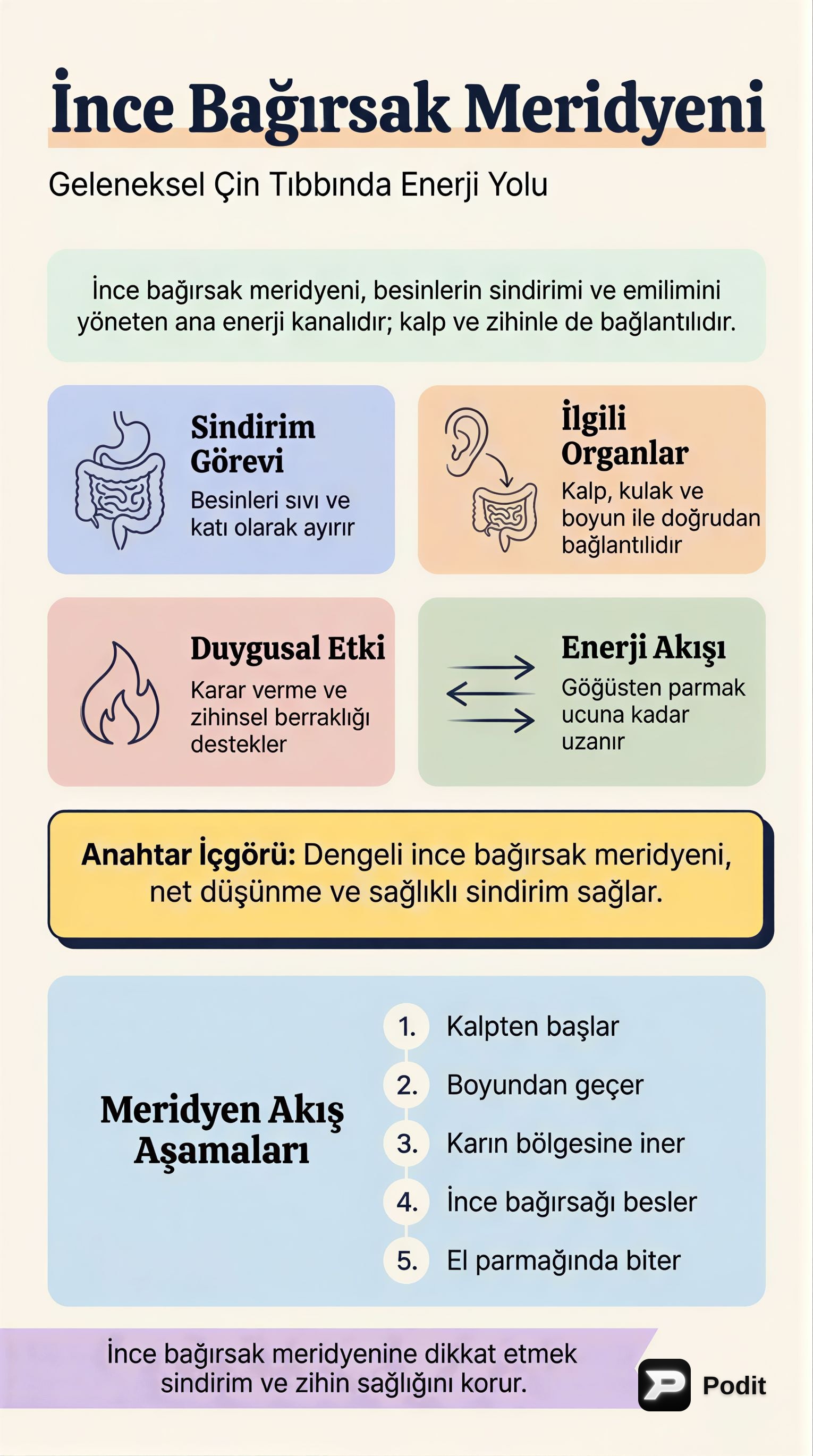 İnce Bağırsak Meridyeni: Enerji ve Sağlık - görsel özet infografik