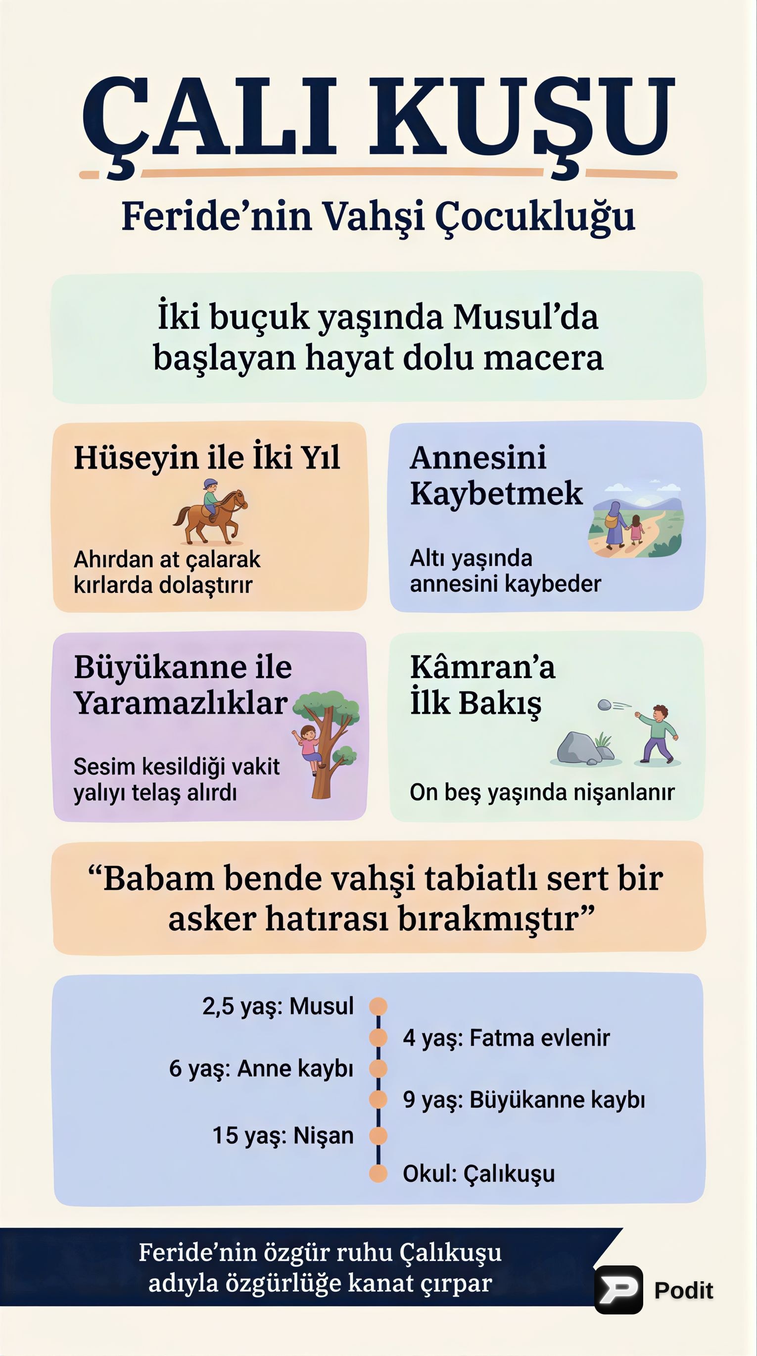 Çalıkuşu Romanının Detaylı Özeti ve Analizi - görsel özet infografik