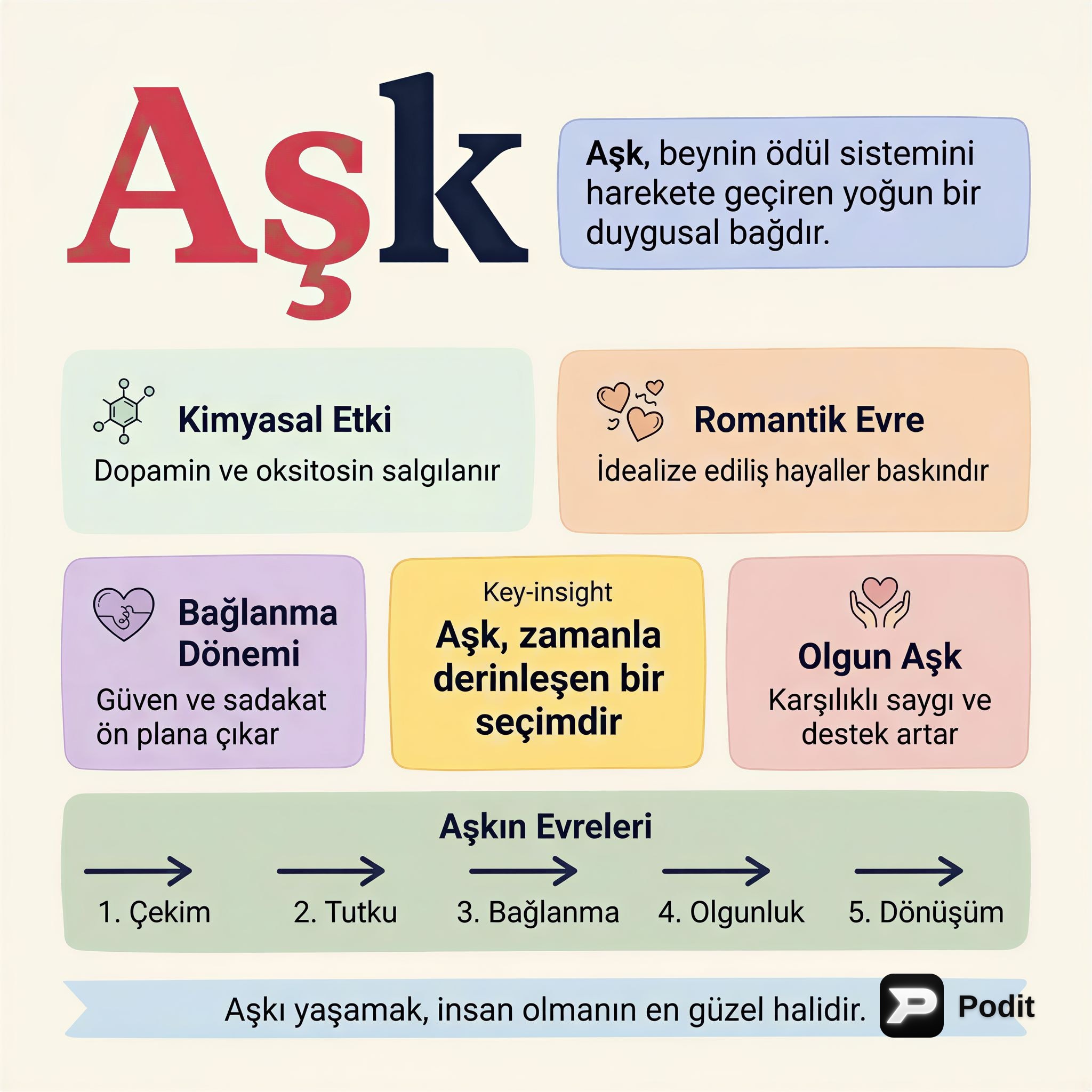 Aşkın Bilimsel, Psikolojik ve Felsefi Yolculuğu - görsel özet infografik