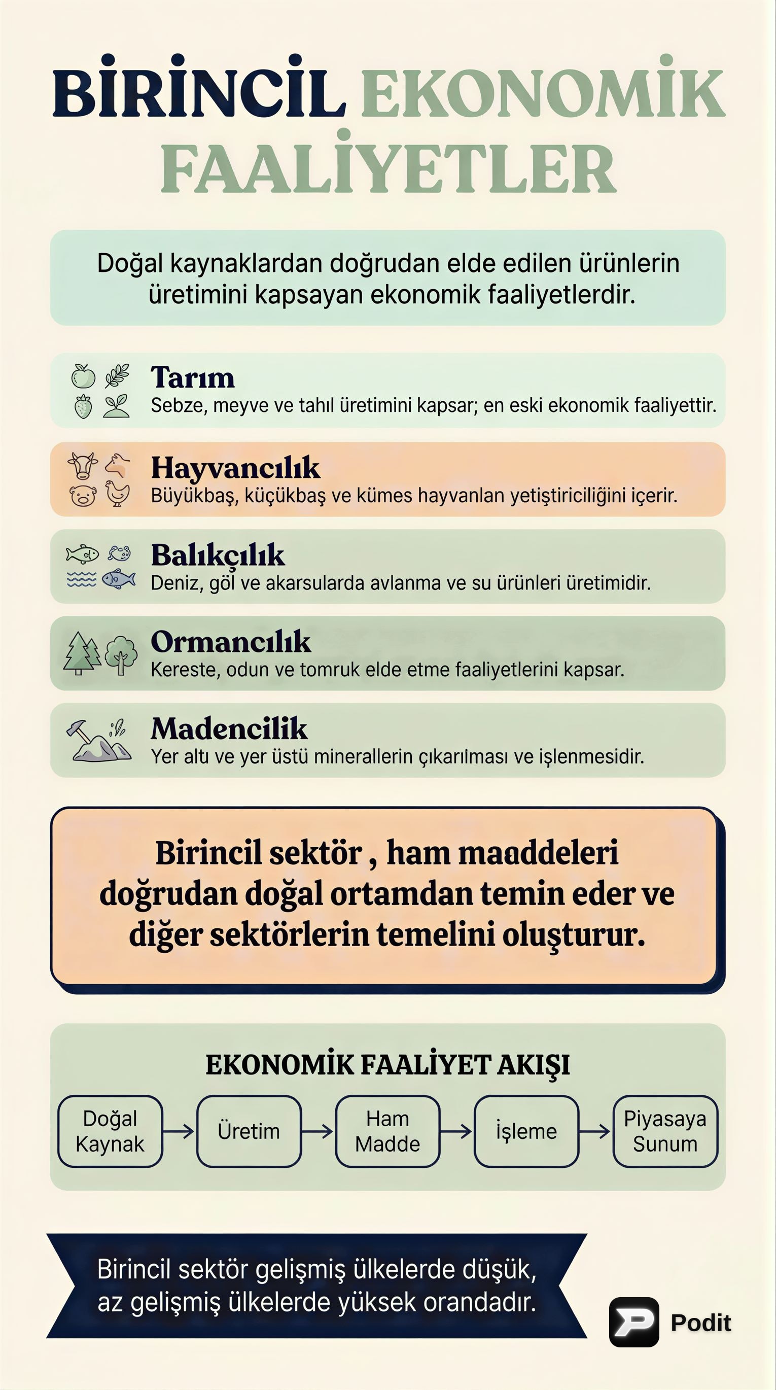 Ekonomik Faaliyetler ve Afet Direnci - görsel özet infografik