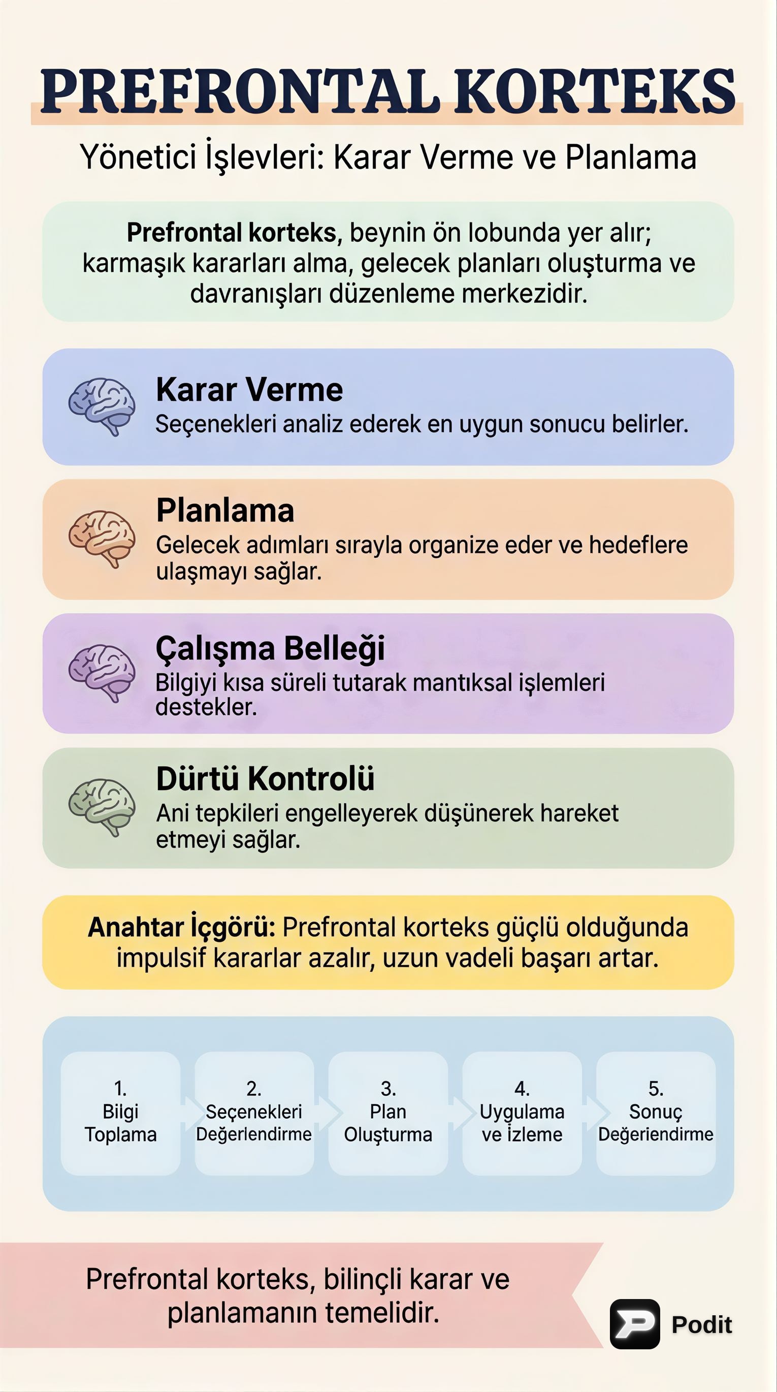 Prefrontal Korteks: Yönetici İşlevlerin Merkezi - görsel özet infografik