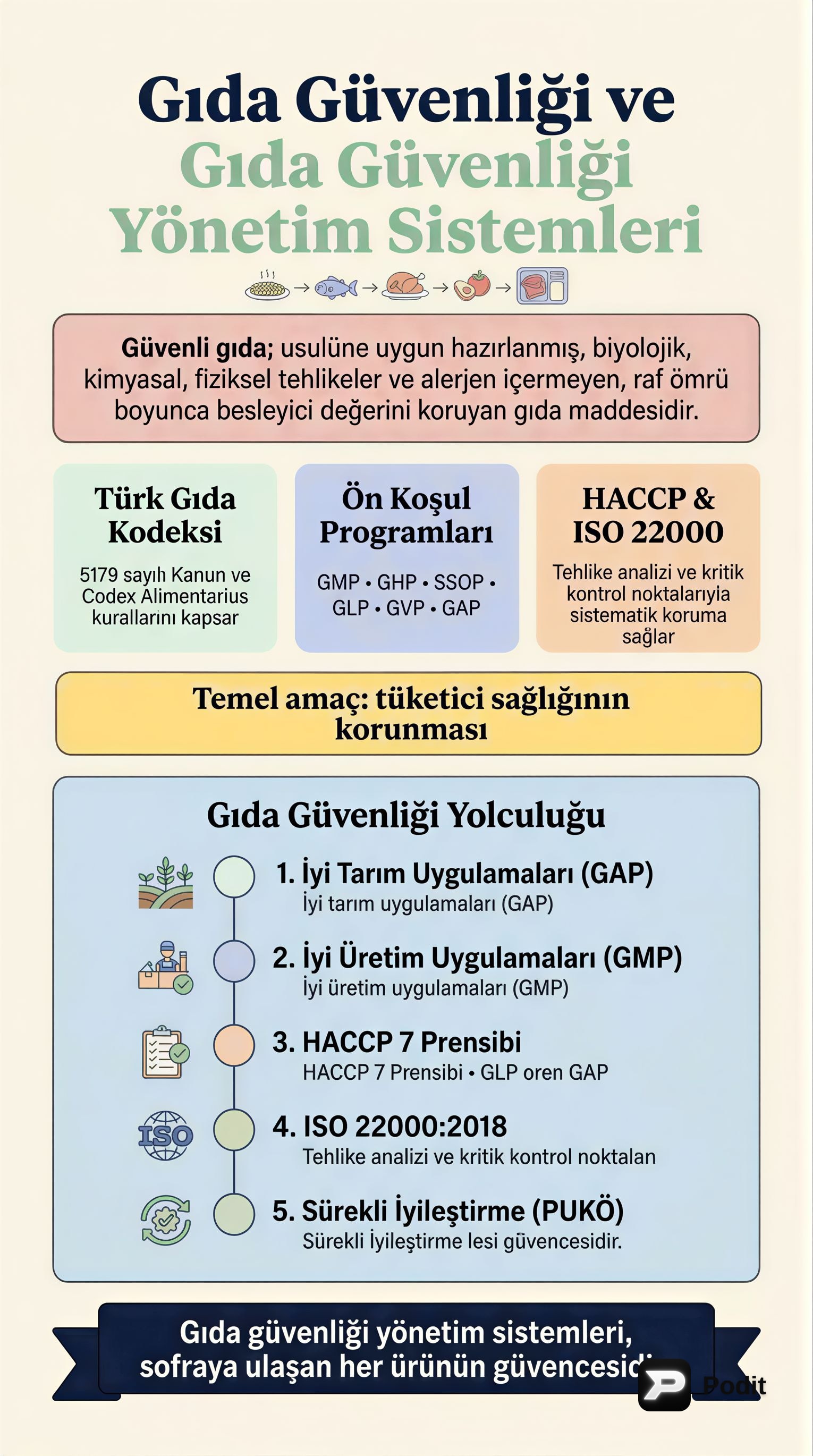 Gıda Güvenliği ve Yönetim Sistemleri - görsel özet infografik