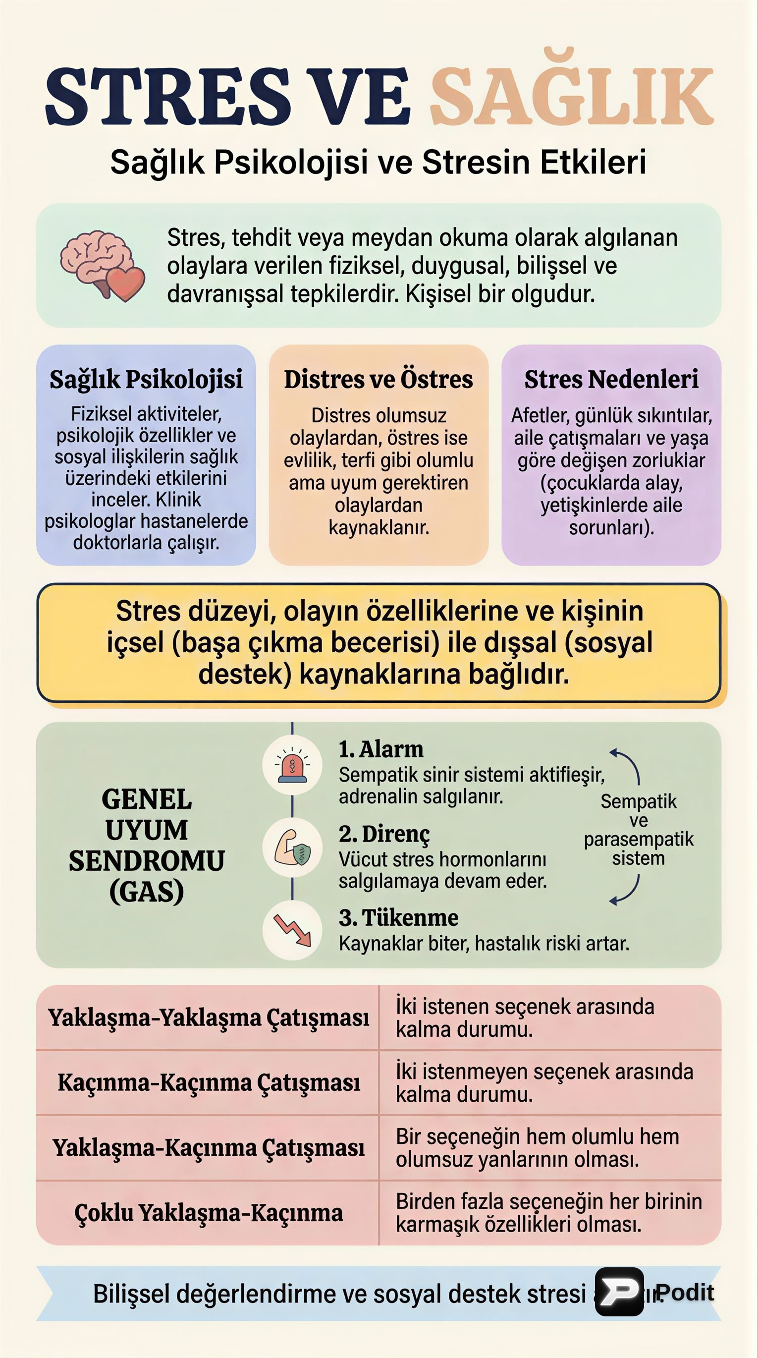 Stres ve Sağlık Psikolojisi: Tanımlar, Kaynaklar ve Başa Çıkma - görsel özet infografik