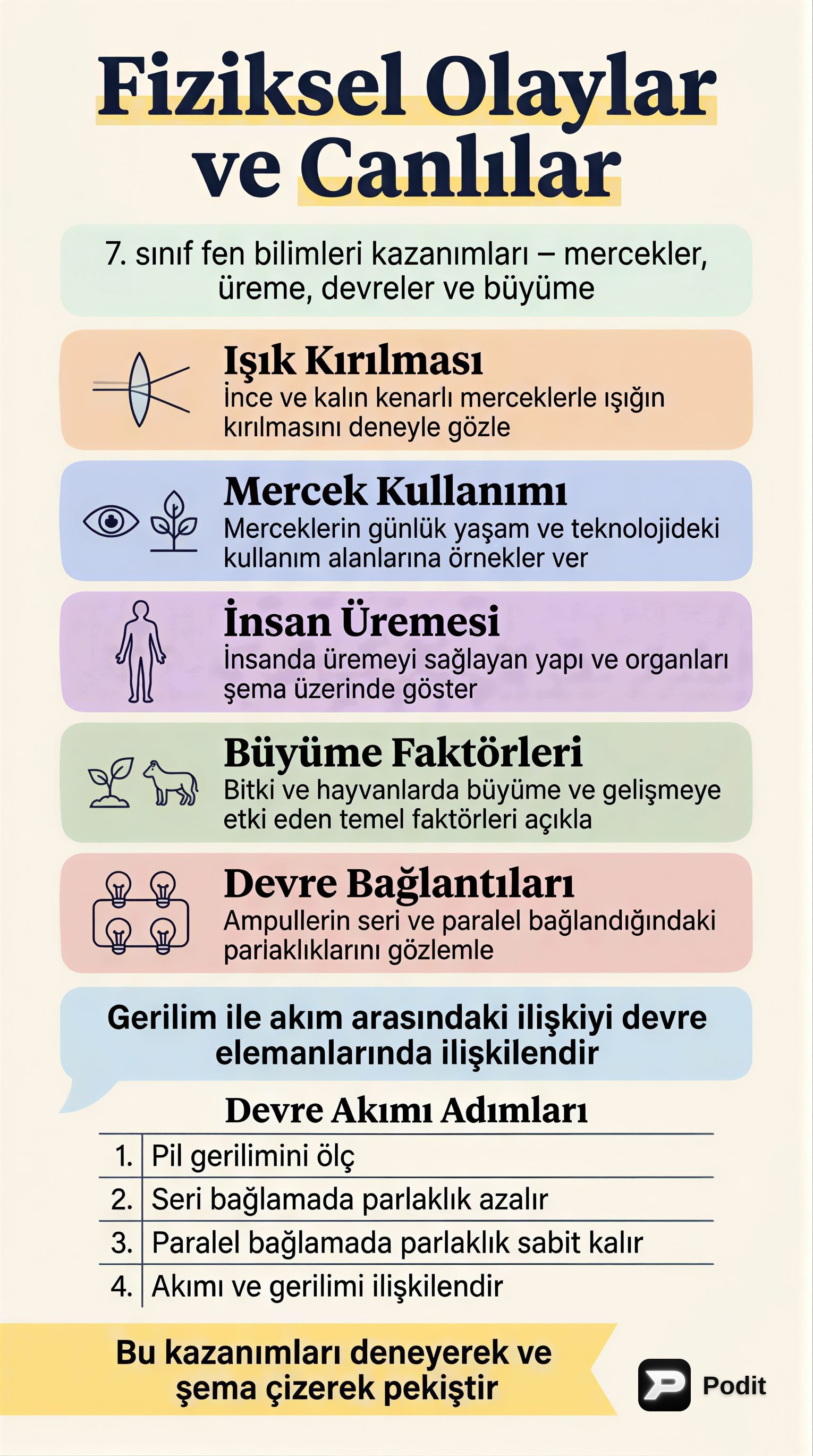 Fiziksel Olaylar ve Canlılar: Temel Kavramlar - görsel özet infografik