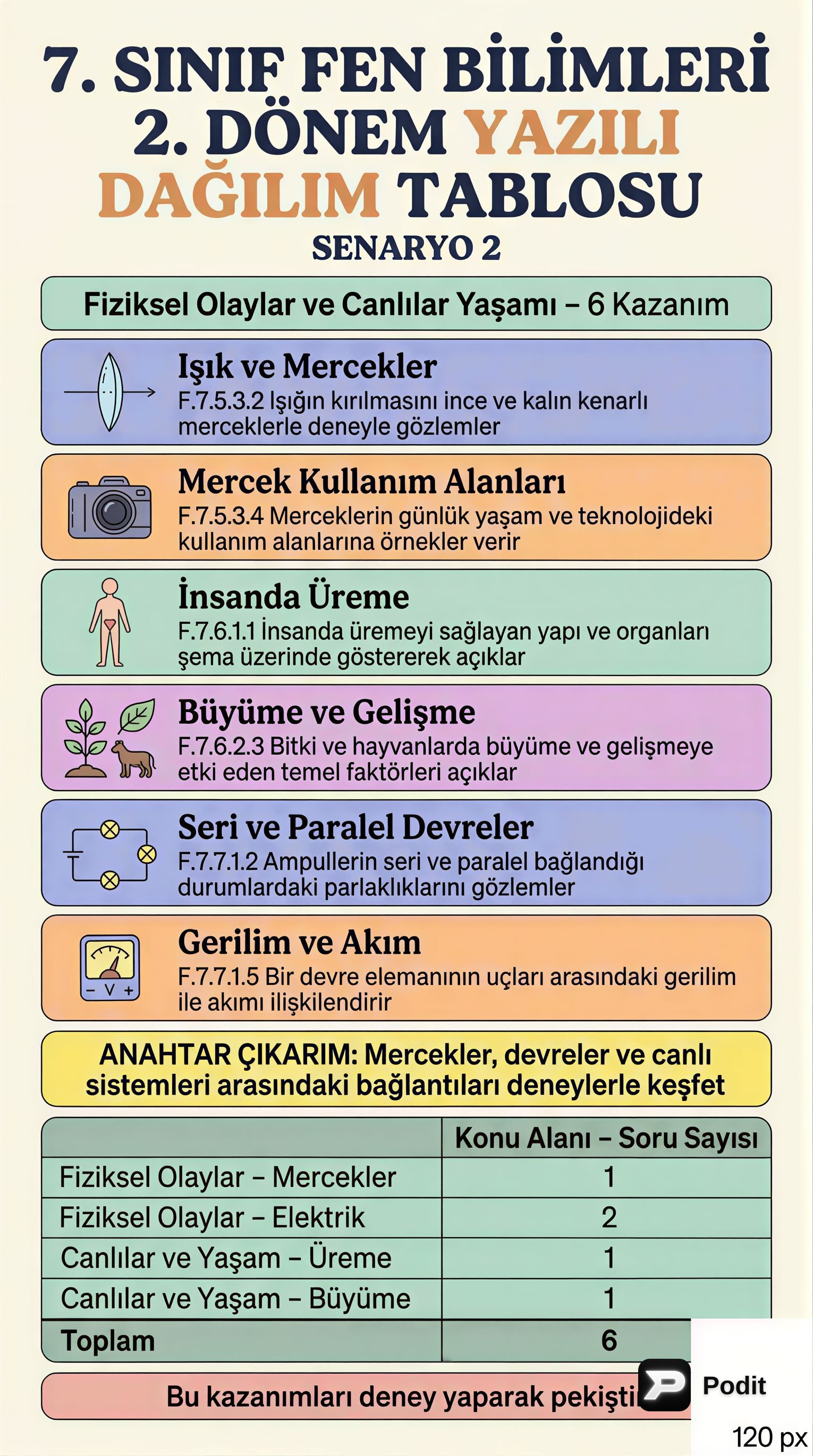 7. Sınıf Fen Bilimleri: 2. Dönem Konu Özeti - görsel özet infografik