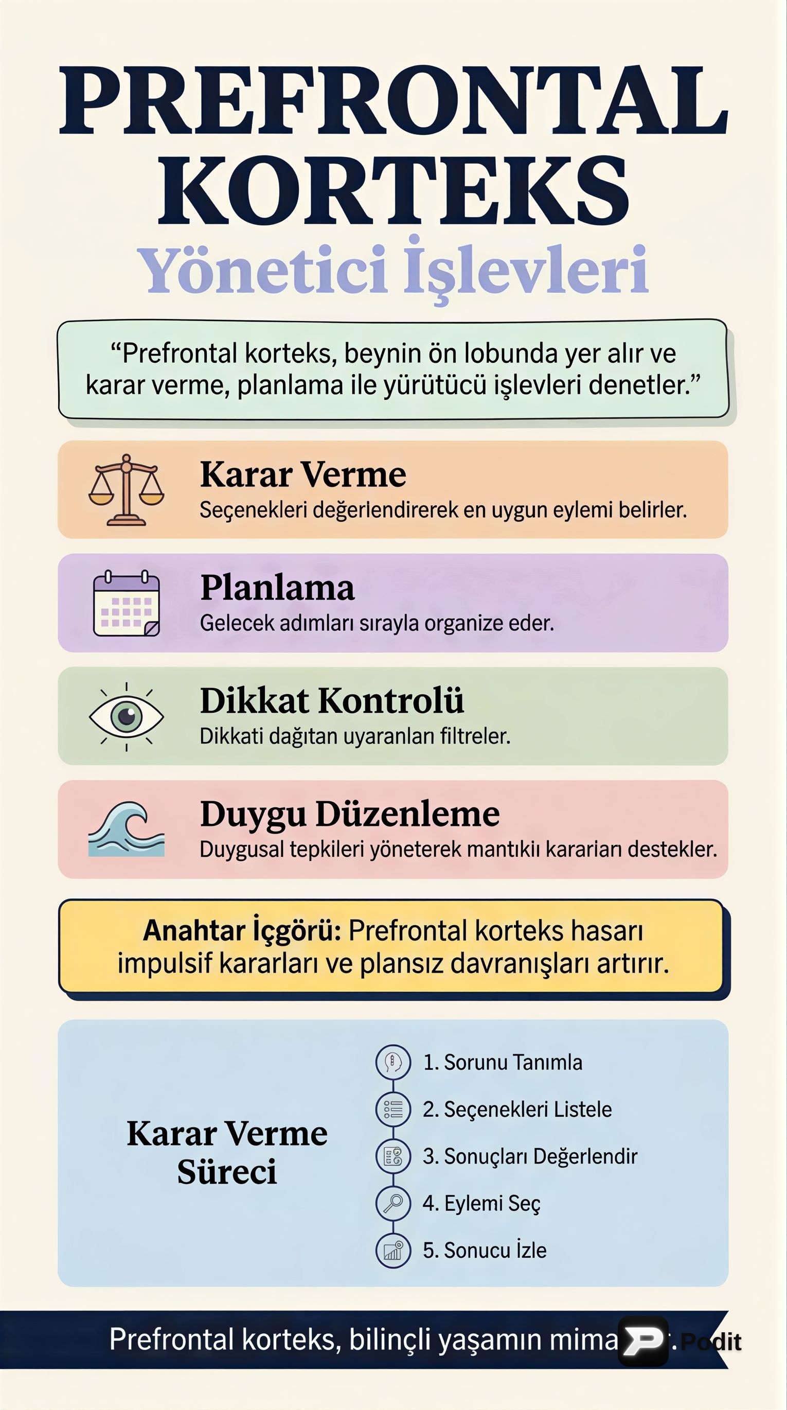 Prefrontal Korteks: Beynin Yönetici İşlevleri - görsel özet infografik