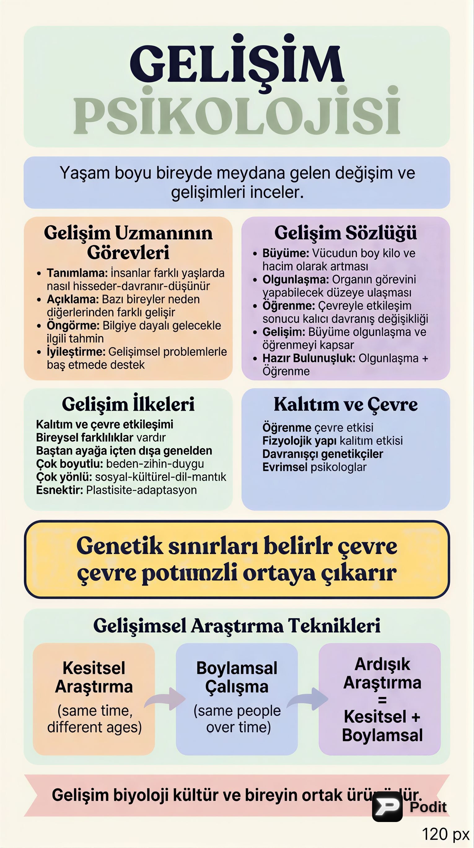Gelişim Psikolojisinin Temelleri ve Çocukluk Dönemi - görsel özet infografik