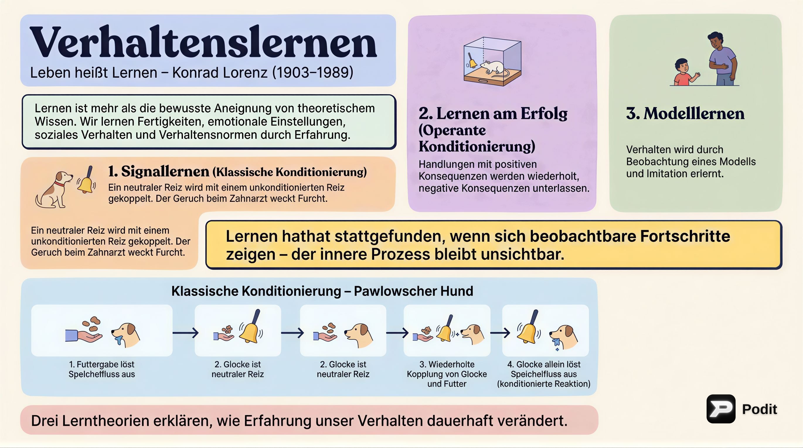 Verhaltenslernen: Theorien und Mechanismen - görsel özet infografik
