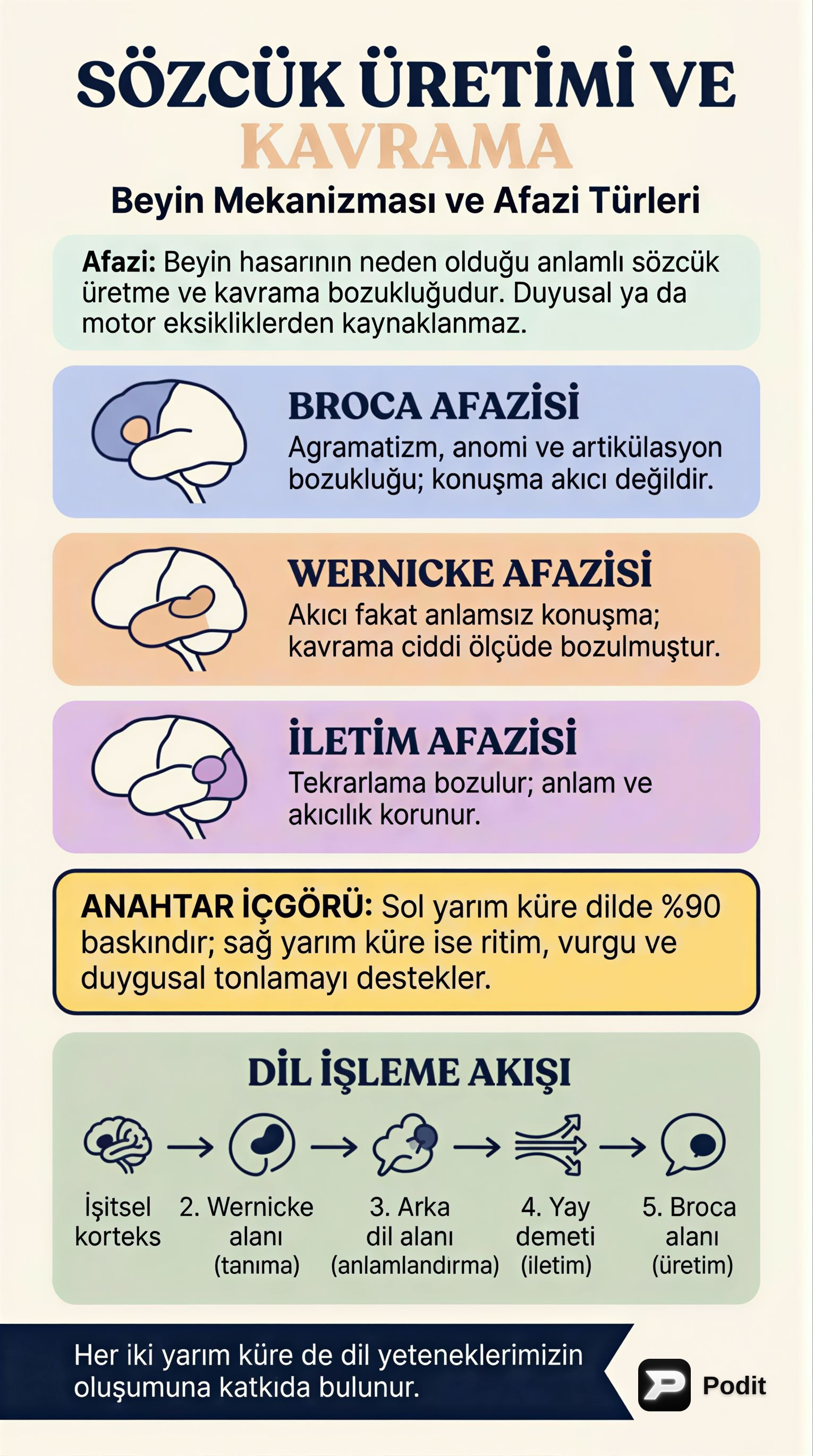Beyin Mekanizmaları ve Afazi Türleri - görsel özet infografik
