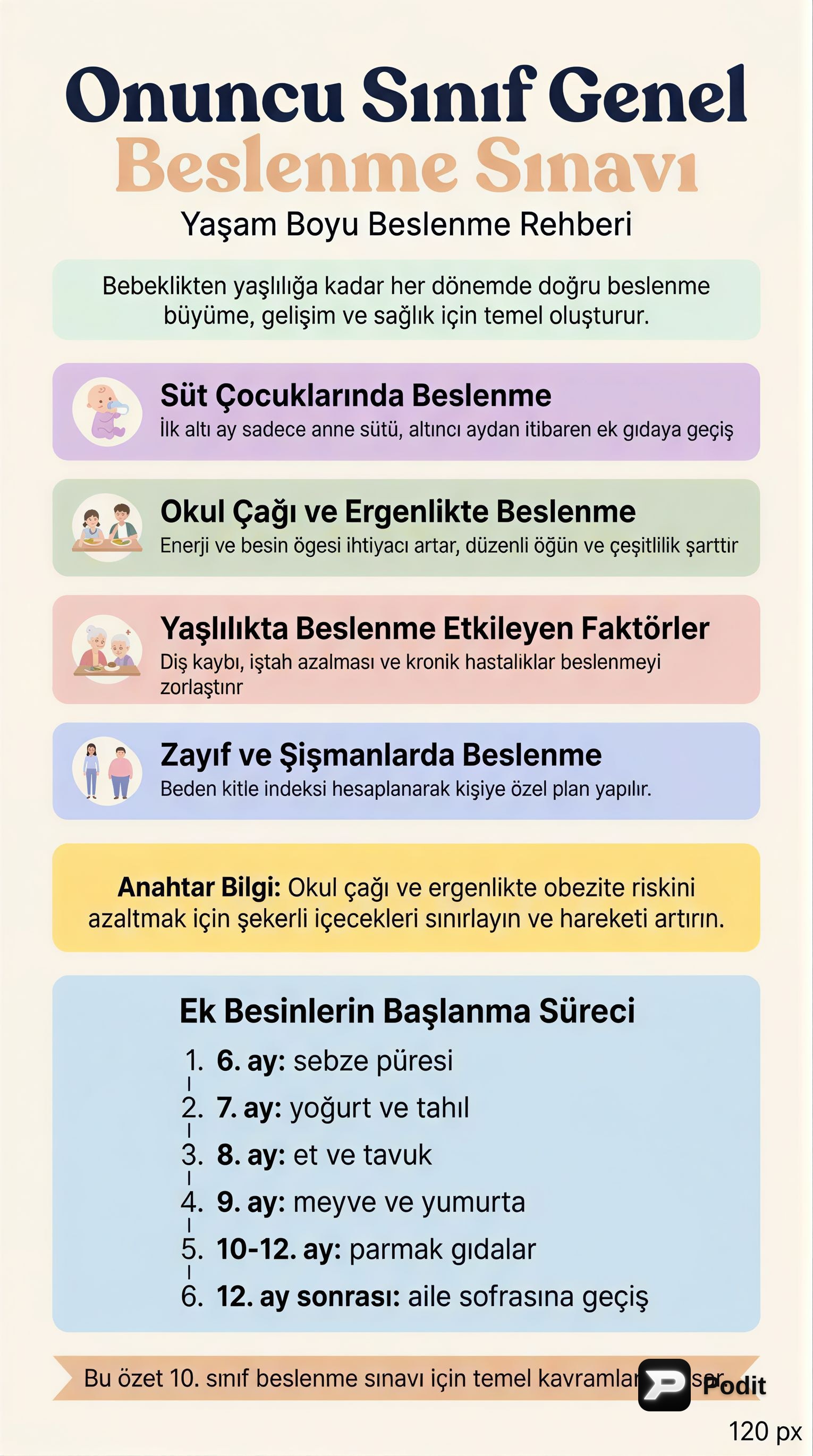 Yaşam Evrelerinde Beslenme ve Sağlık İlkeleri - görsel özet infografik
