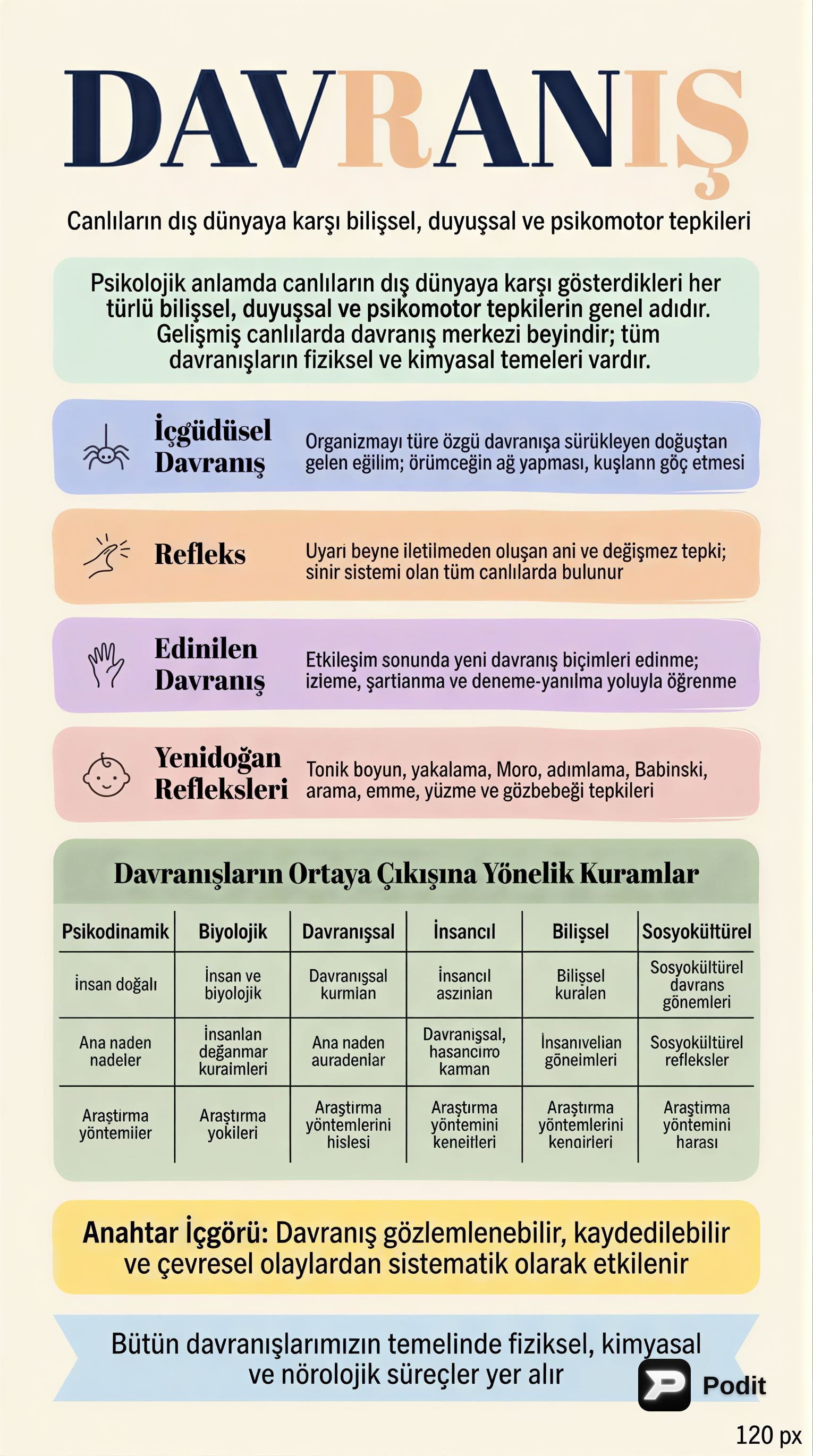 Davranışın Temelleri ve Gelişim Kuramları - görsel özet infografik
