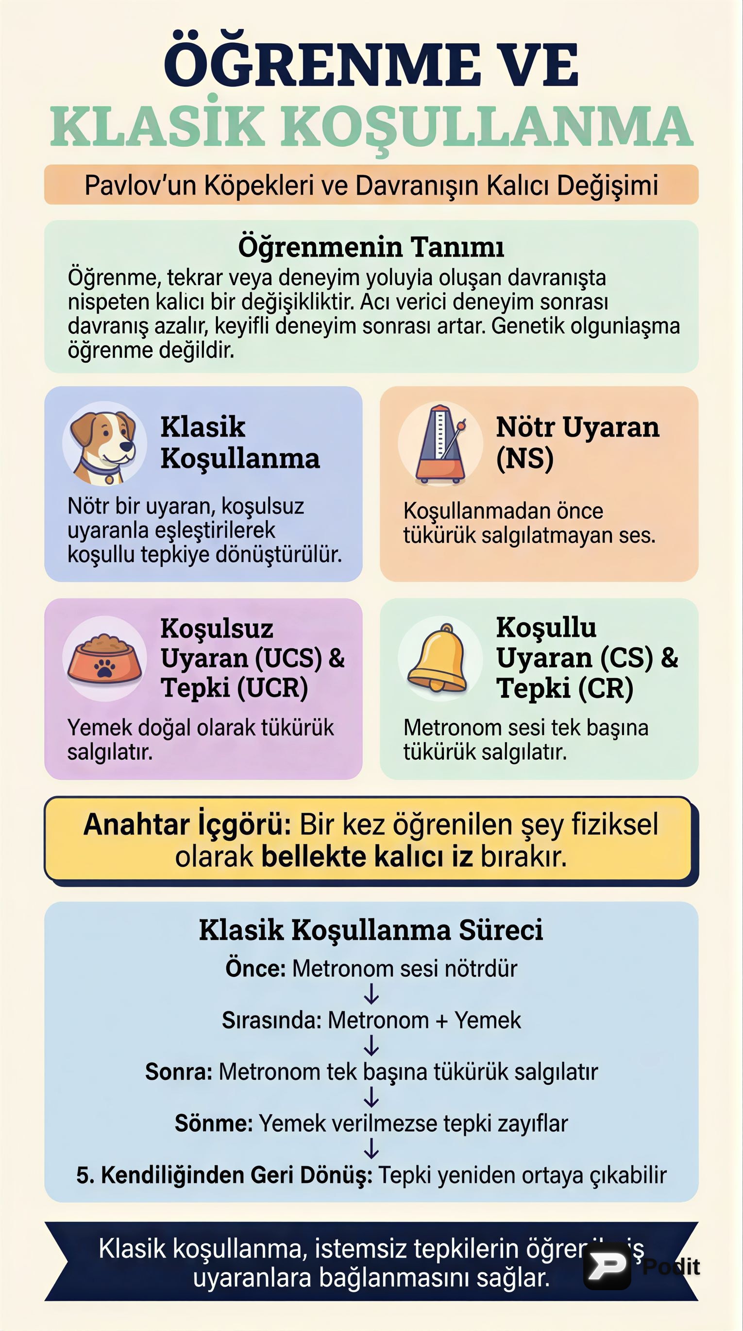 Öğrenme Teorileri: Klasik ve Edimsel Koşullanma - görsel özet infografik