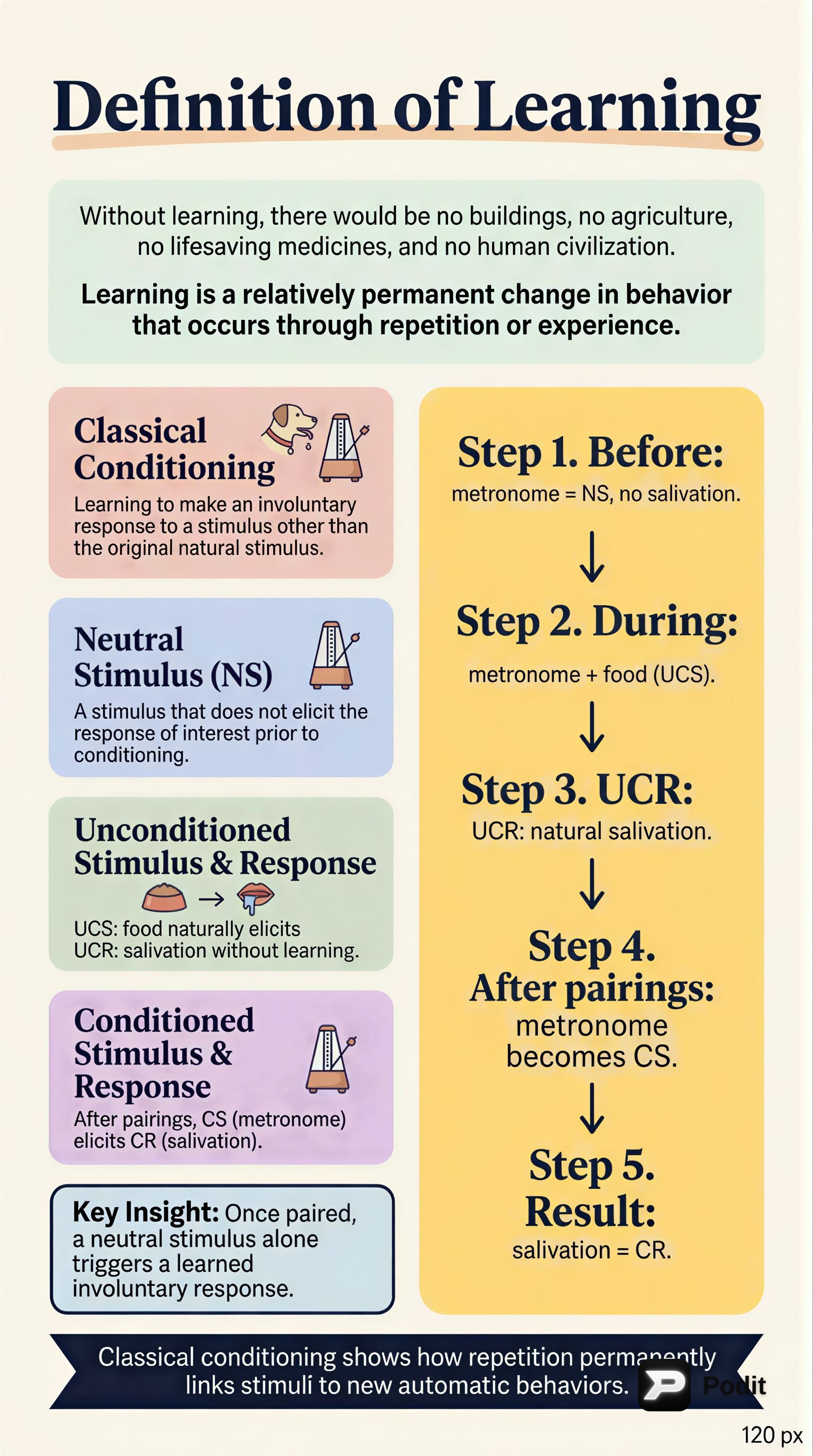 Learning Theories: Classical and Operant Conditioning - görsel özet infografik