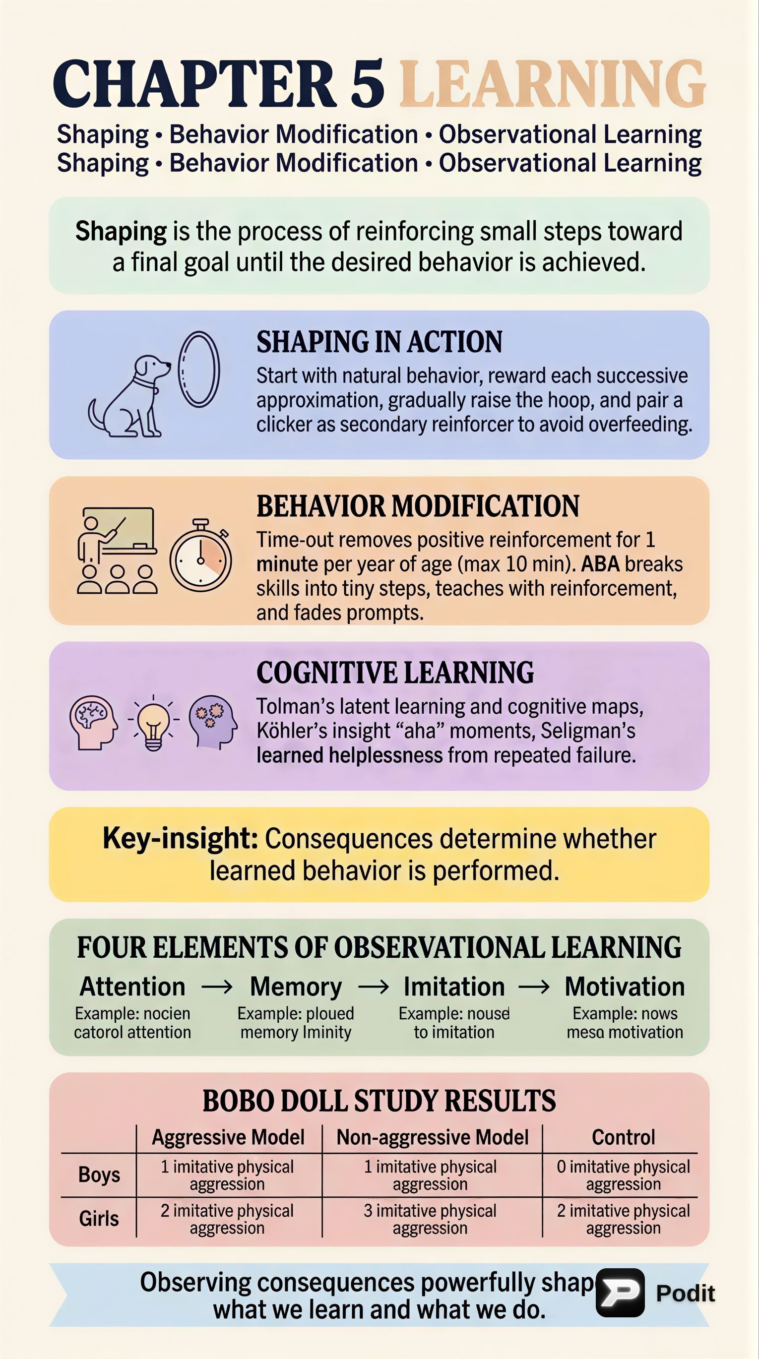 Learning: Operant, Cognitive, and Observational Theories - görsel özet infografik