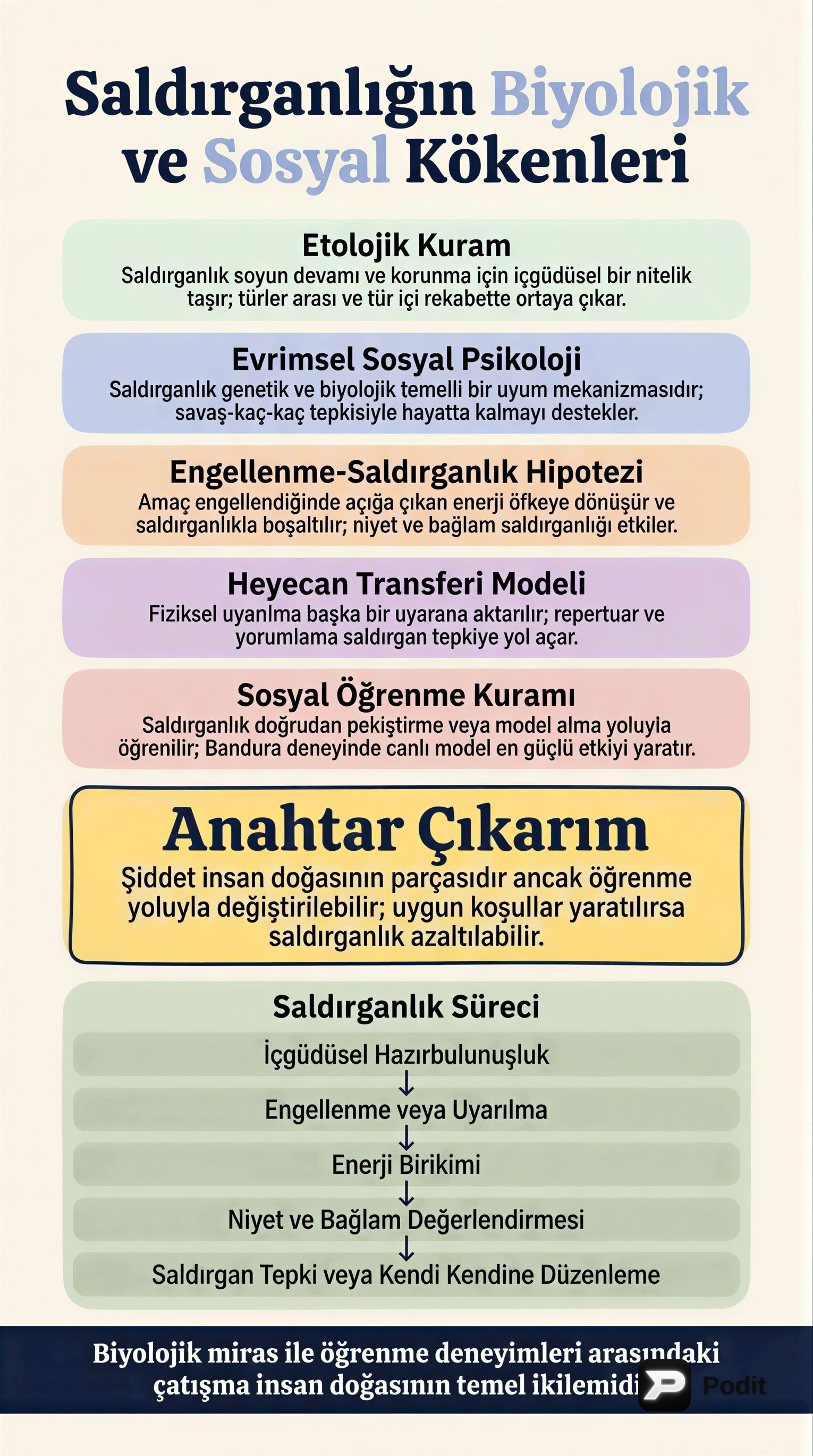Saldırganlık ve Prososyal Davranışın Psikolojik Temelleri - görsel özet infografik