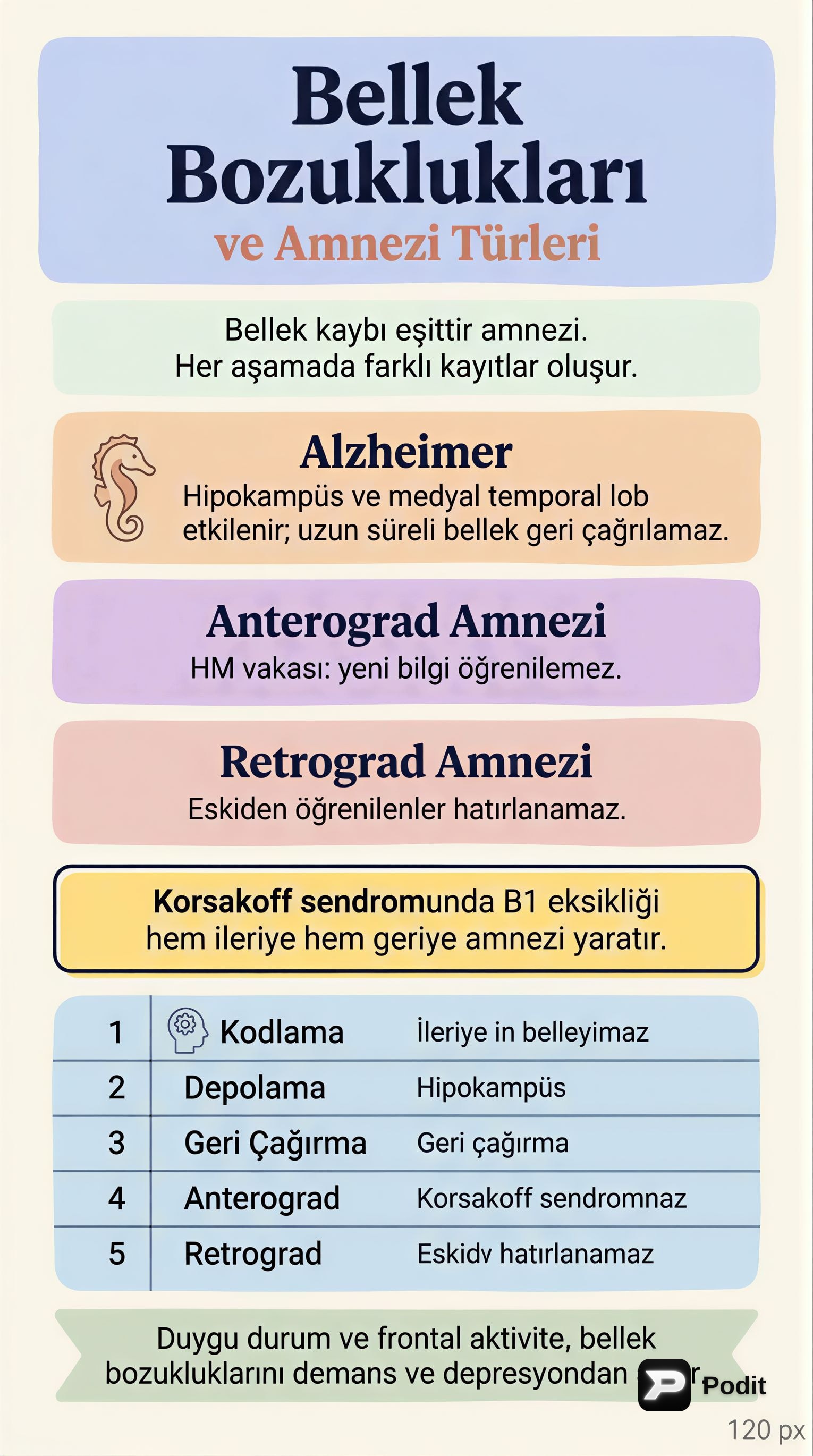 Duygu, Bellek ve Sosyal Bilişin Nörobiyolojisi - görsel özet infografik