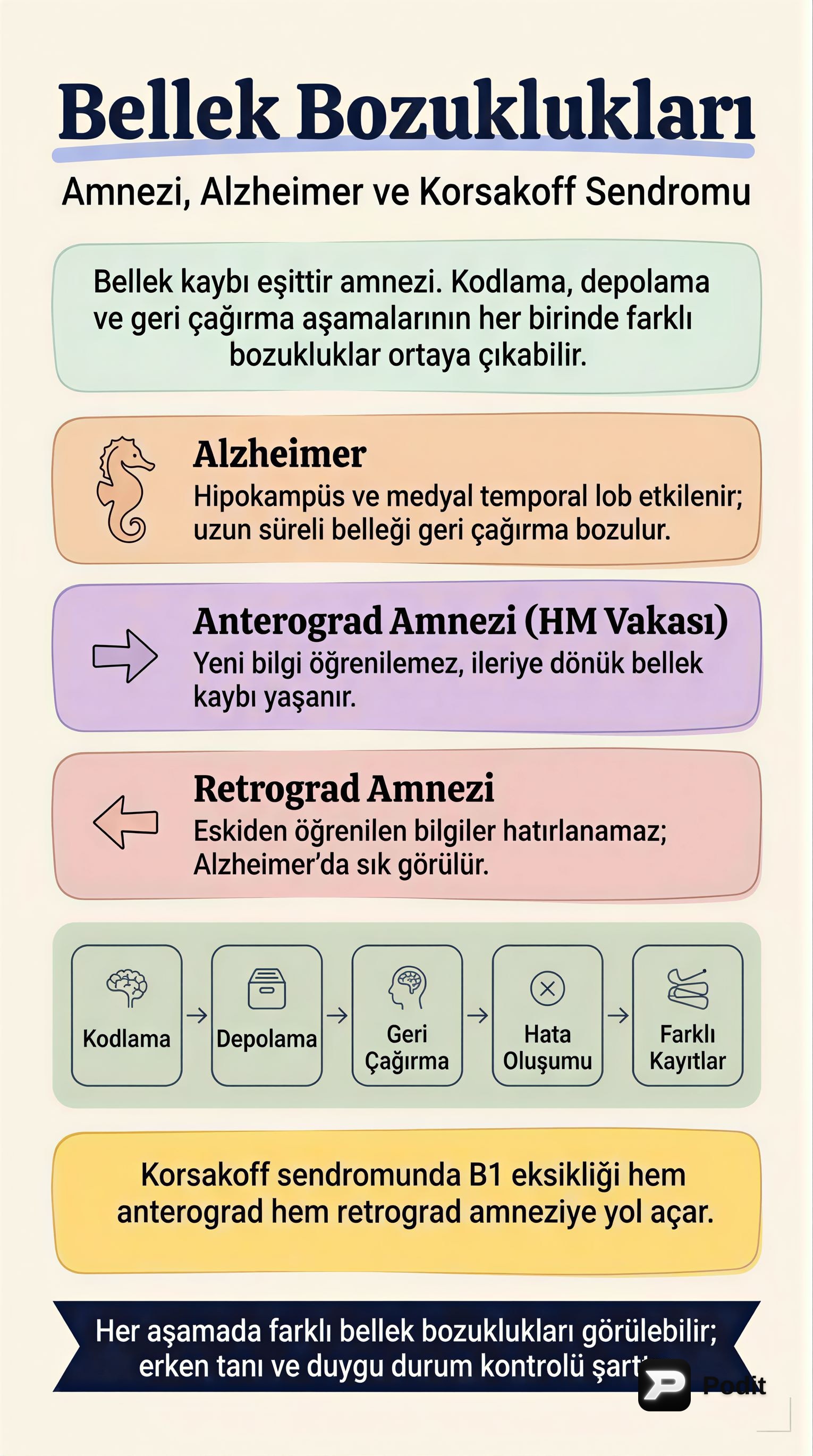 Bellek Bozuklukları, Duygu Kuramları ve Sosyal Biliş - görsel özet infografik