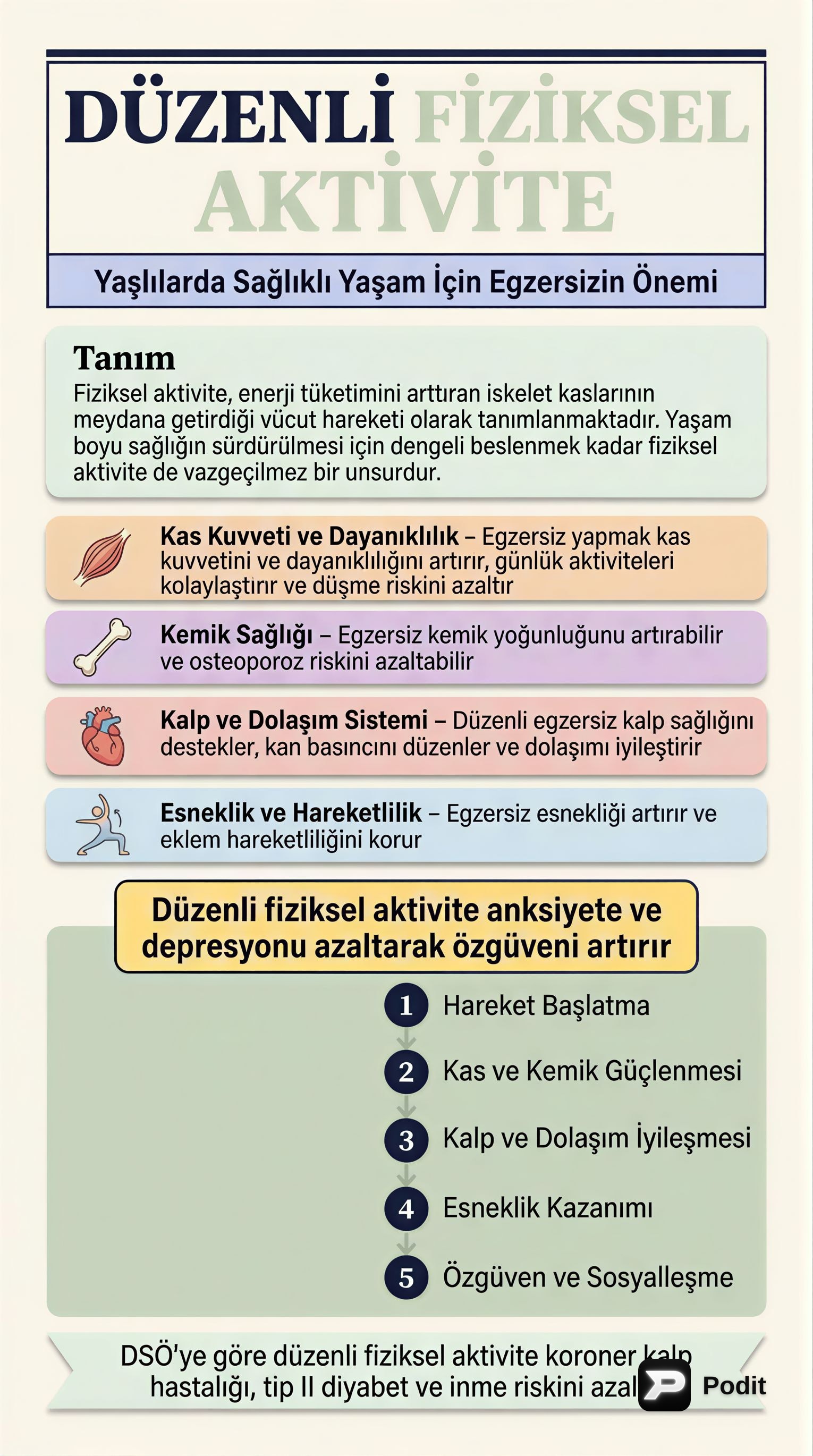 Düzenli Fiziksel Aktivitenin Sağlık Üzerine Etkileri - görsel özet infografik
