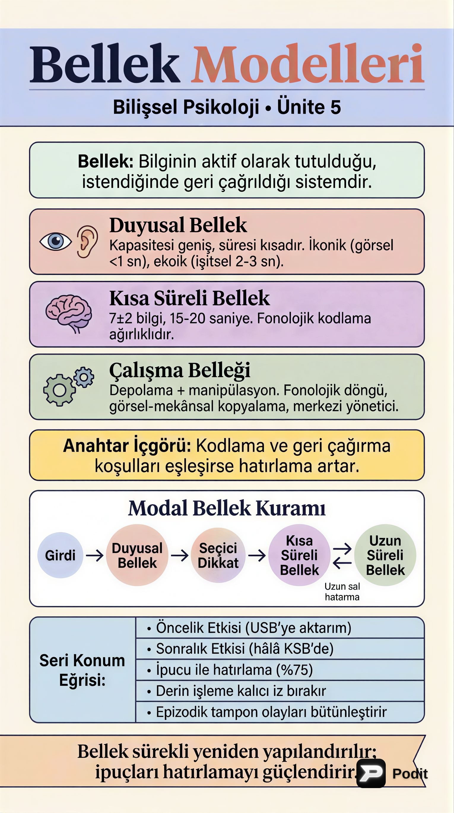 Bellek: Modelleri, Süreçleri ve Yapısı - görsel özet infografik