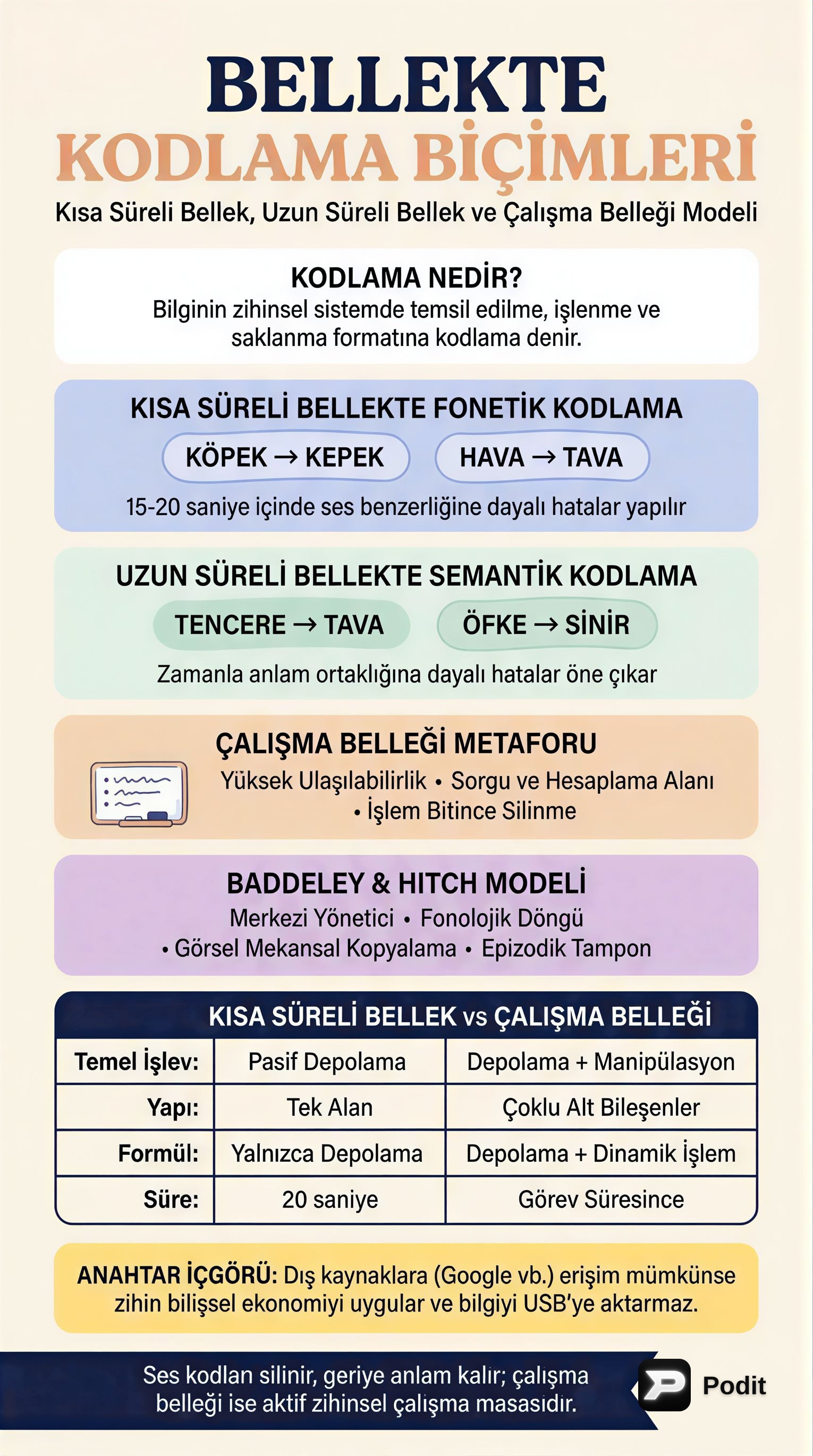 Bilişsel Psikolojide Bellek ve Çalışma Belleği - görsel özet infografik