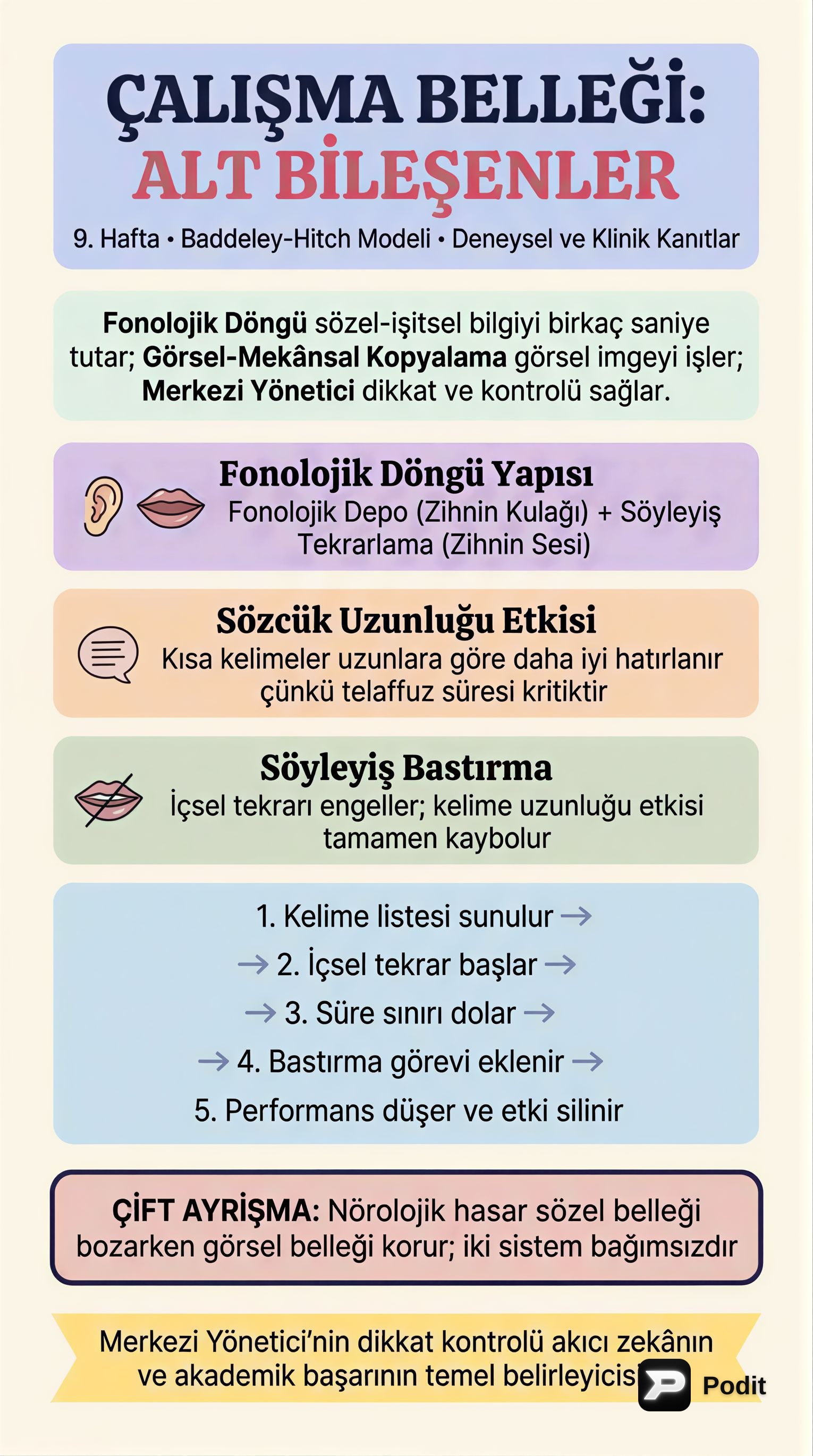 Çalışma Belleği Alt Bileşenleri: Deneysel ve Klinik Kanıtlar - görsel özet infografik