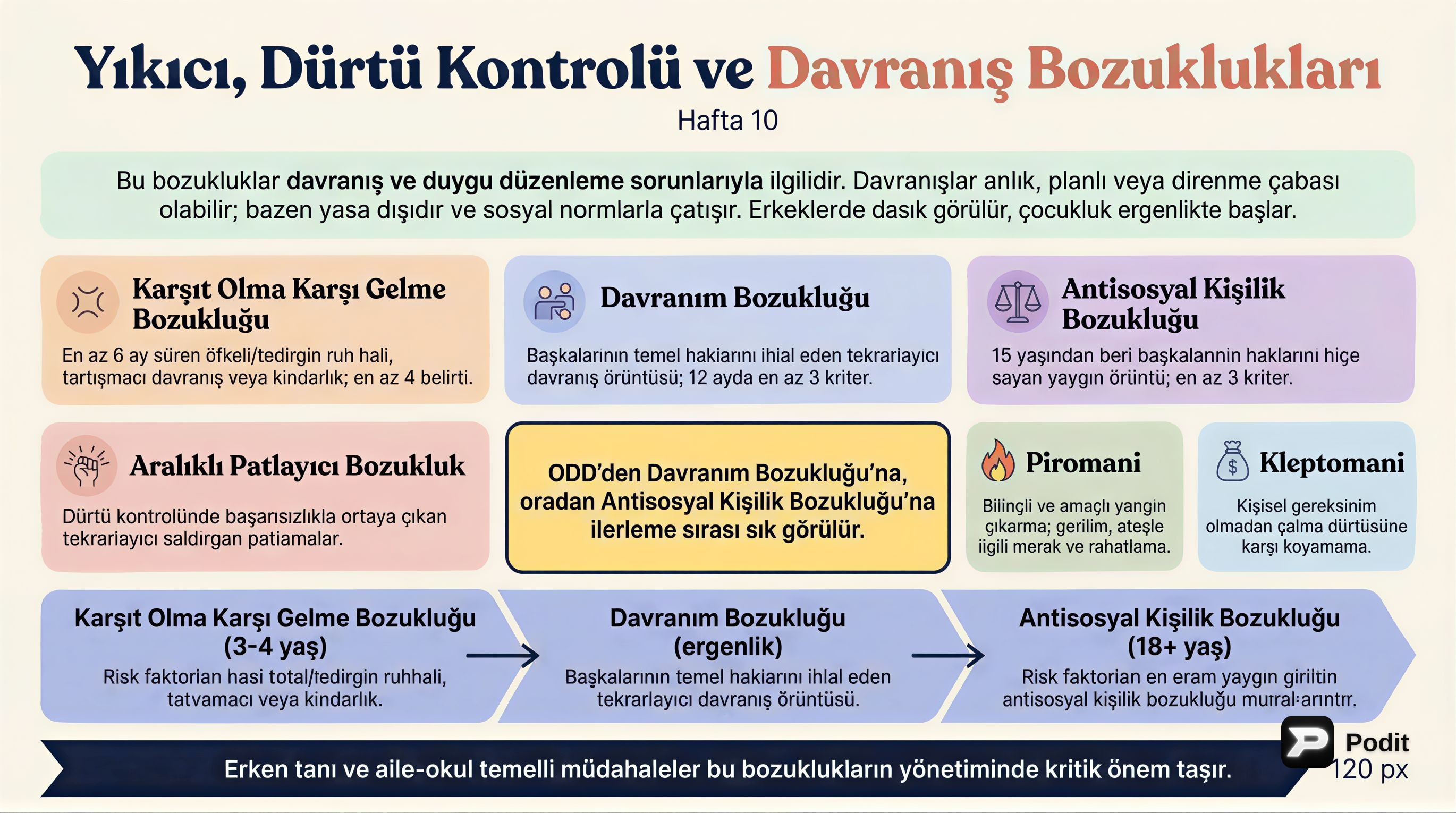 Yıkıcı, Dürtü Kontrol ve Davranım Bozuklukları - görsel özet infografik
