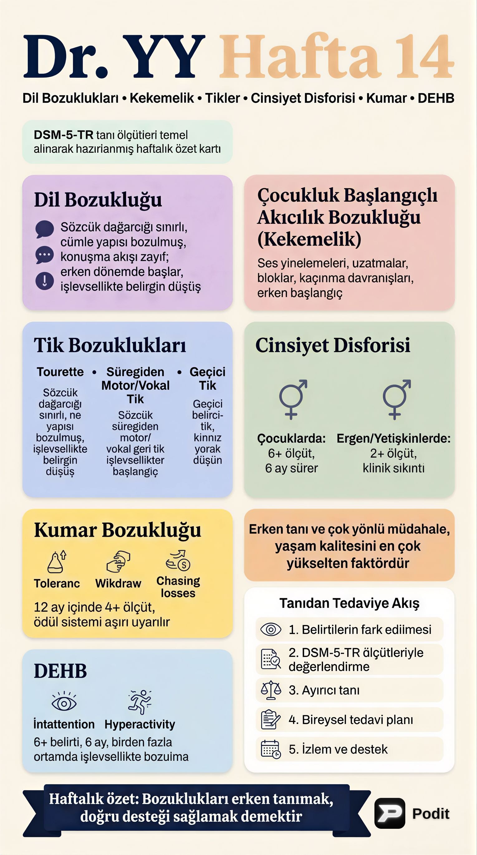 DSM-5-TR'ye Göre Psikolojik Bozukluklar - görsel özet infografik