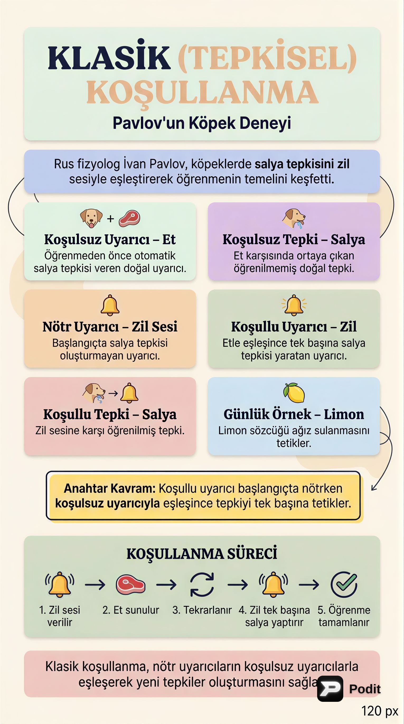 Klasik Koşullanma: Pavlov'dan Rescorla'ya Temel İlkeler - görsel özet infografik