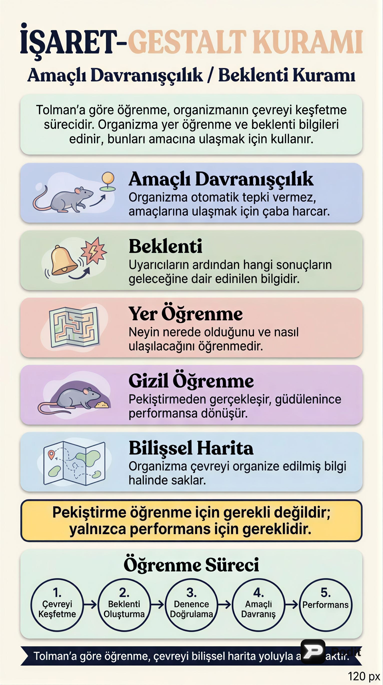 Tolman'ın İşaret-Gestalt Kuramı: Amaçlı Davranışçılık - görsel özet infografik
