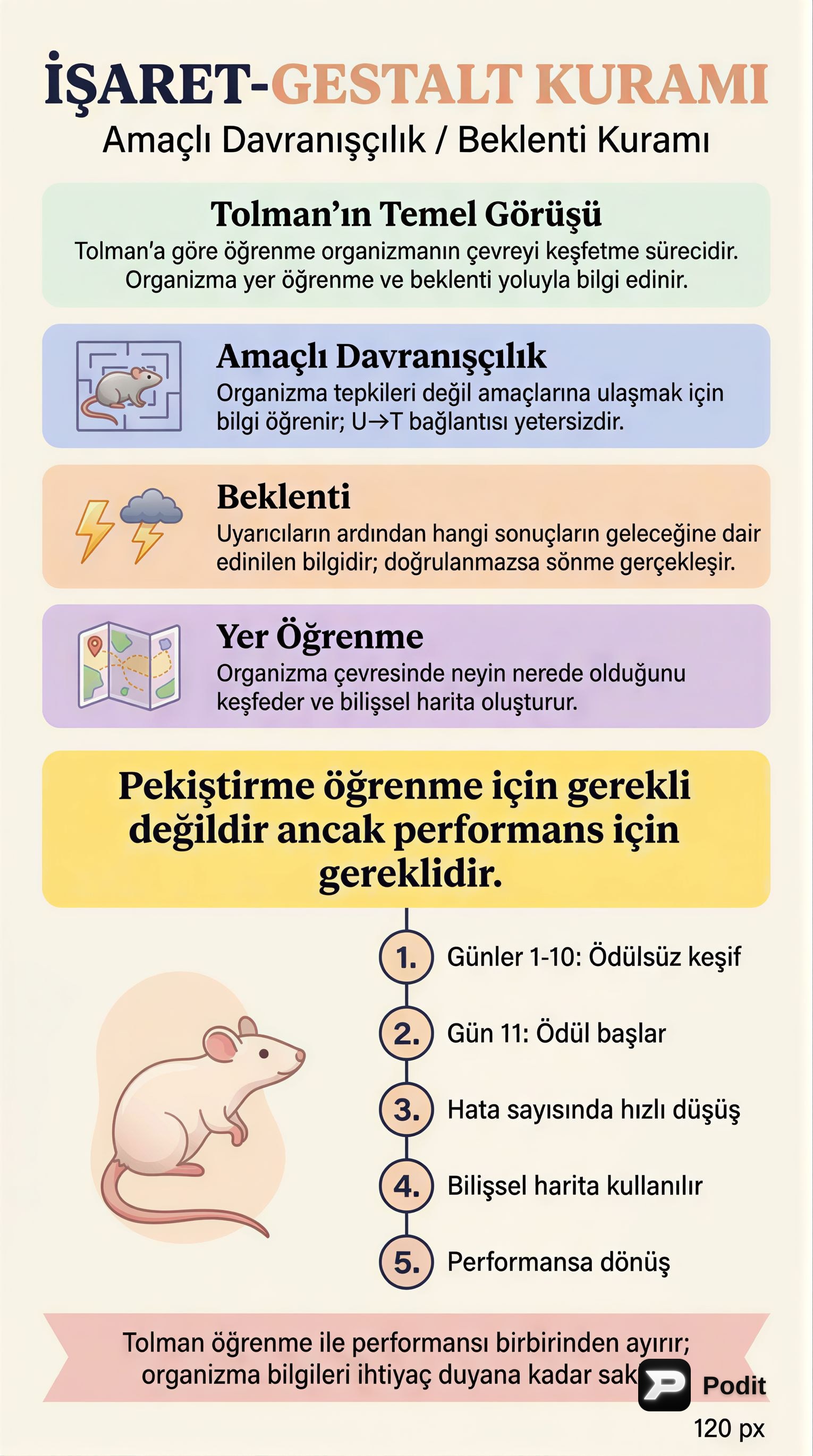 Tolman'ın İşaret-Gestalt Kuramı: Amaçlı Davranışçılık - görsel özet infografik