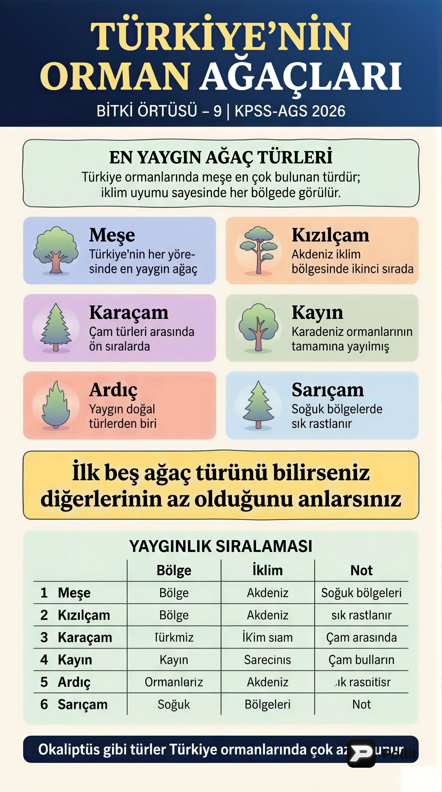 Türkiye'nin Bitki Varlığı: Formasyonlar ve Etkileyen Faktörler - görsel özet infografik