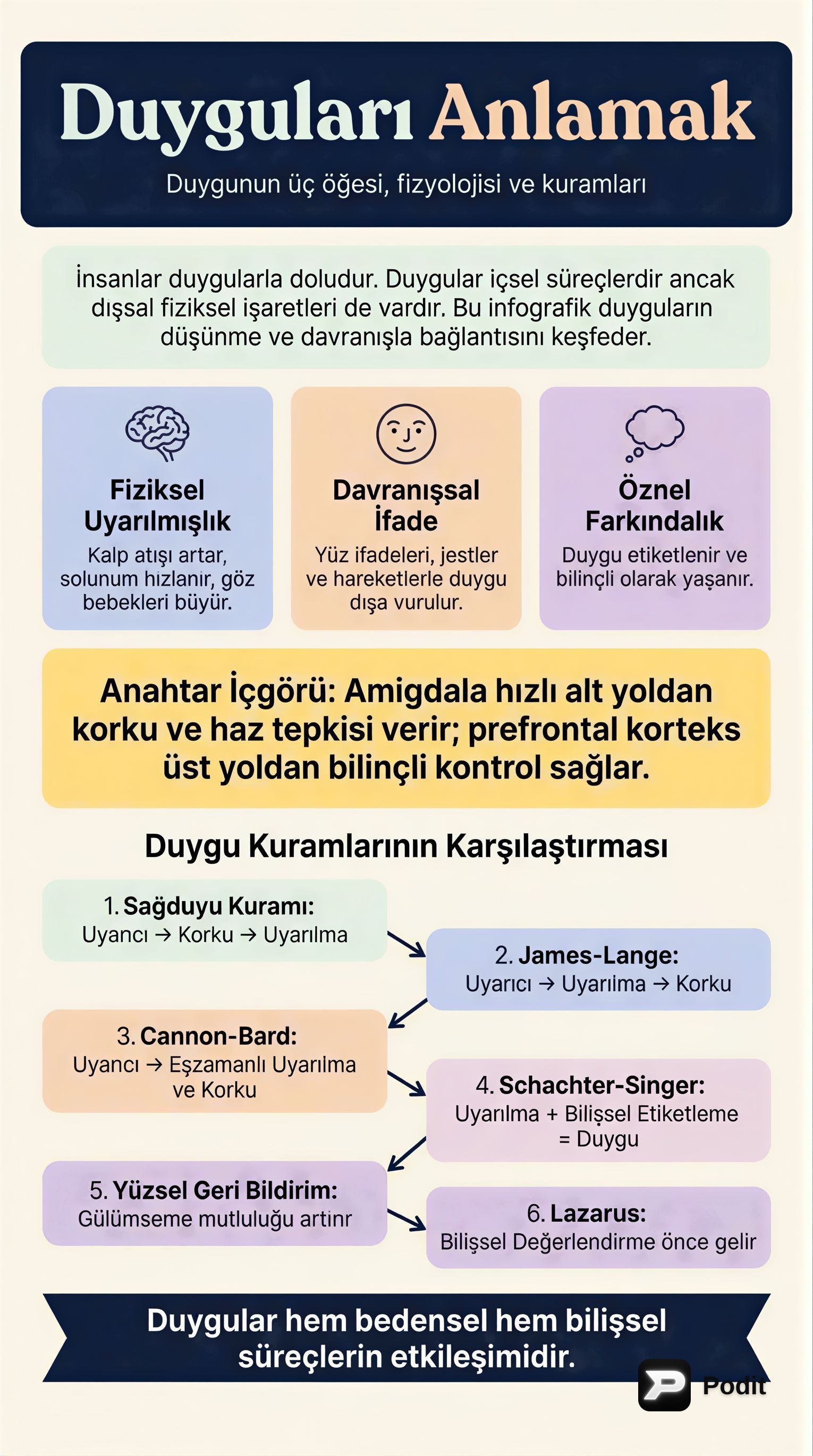 Duyguların Anlaşılması ve Başlıca Kuramları - görsel özet infografik