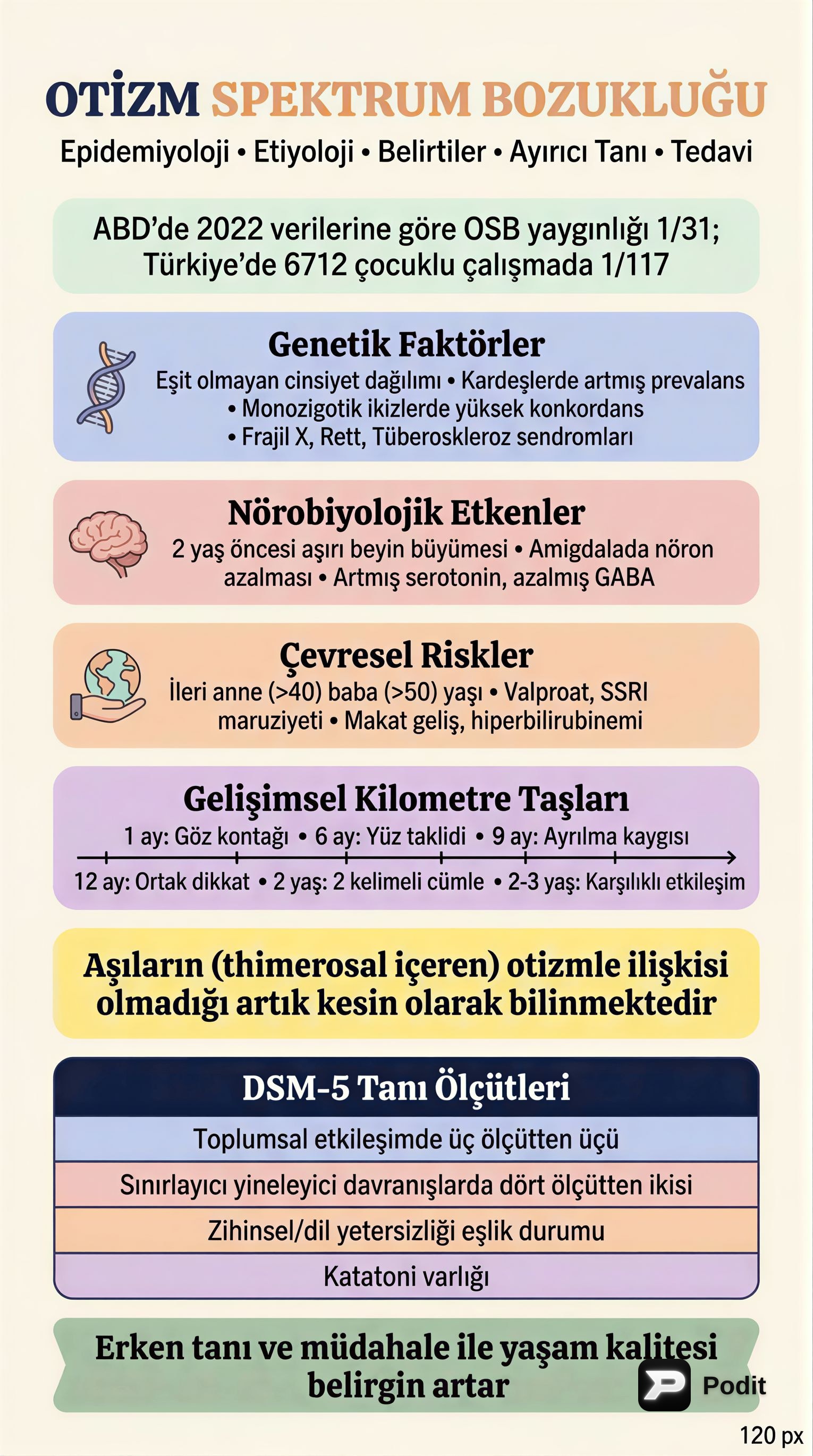 Otizm ve DEHB: Tanı, Etiyoloji ve Tedavi Yaklaşımları - görsel özet infografik