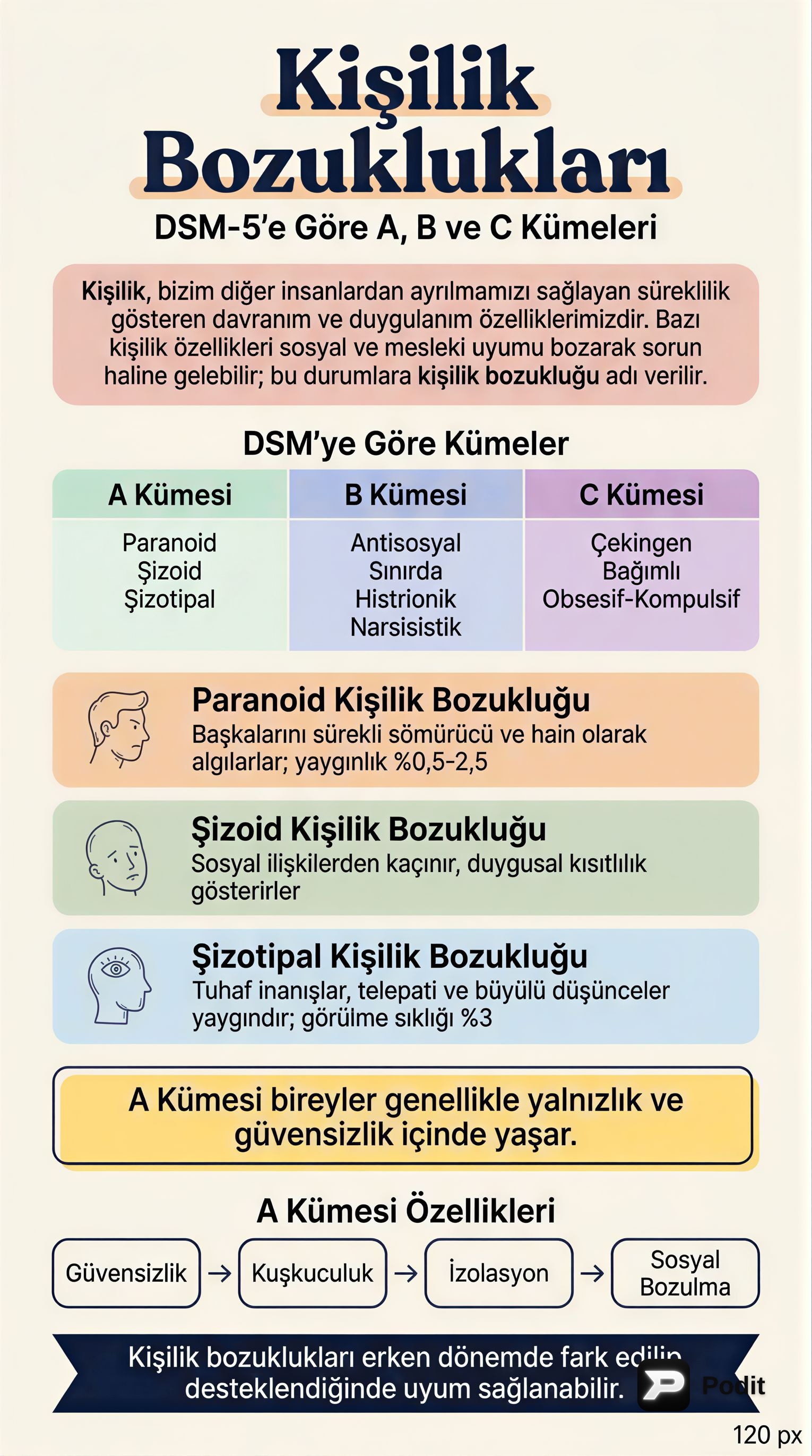 Kişilik Bozuklukları: Tanım ve Türleri - görsel özet infografik
