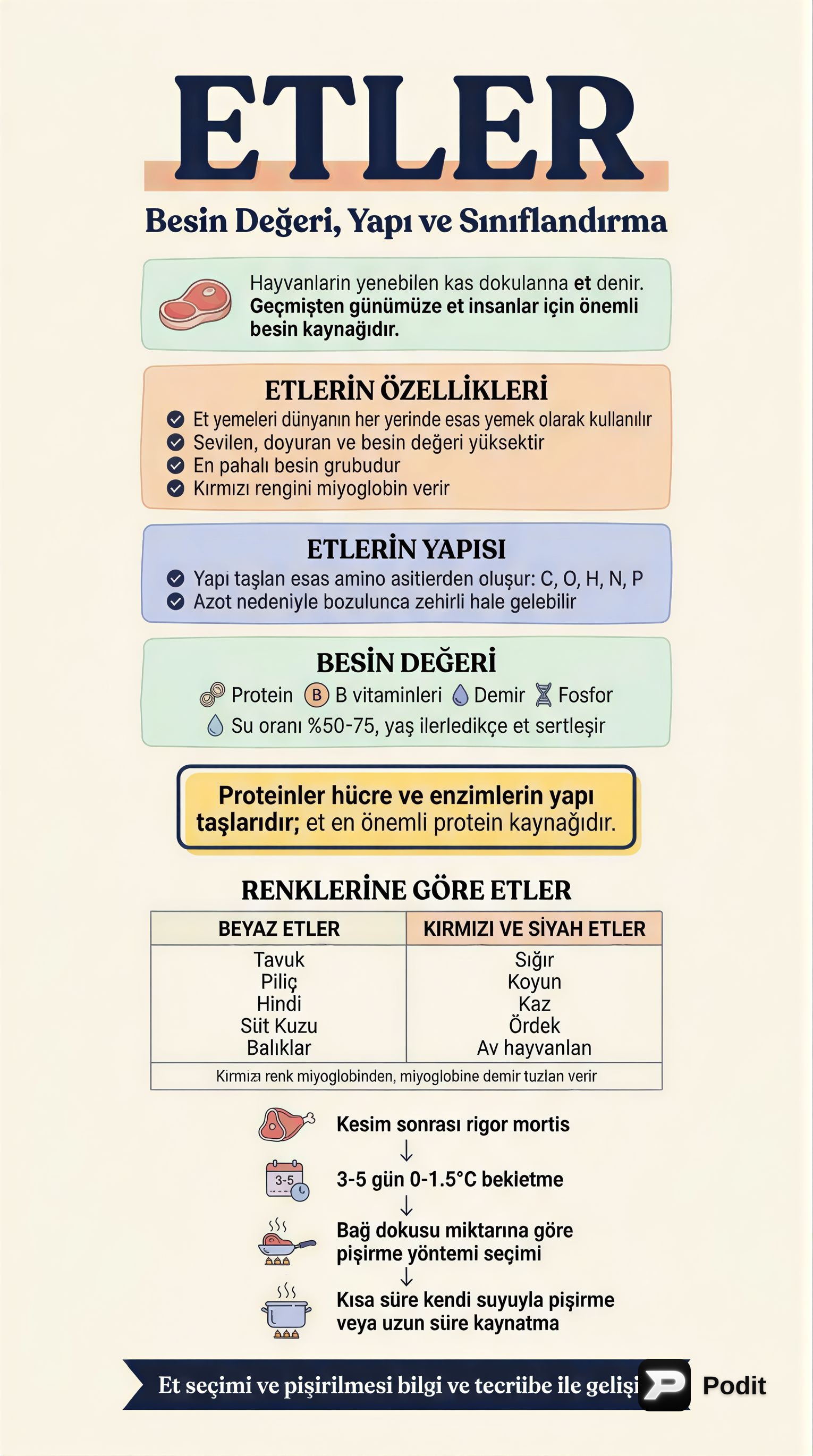 Etlerin Önemi, Yapısı ve Sınıflandırılması - görsel özet infografik