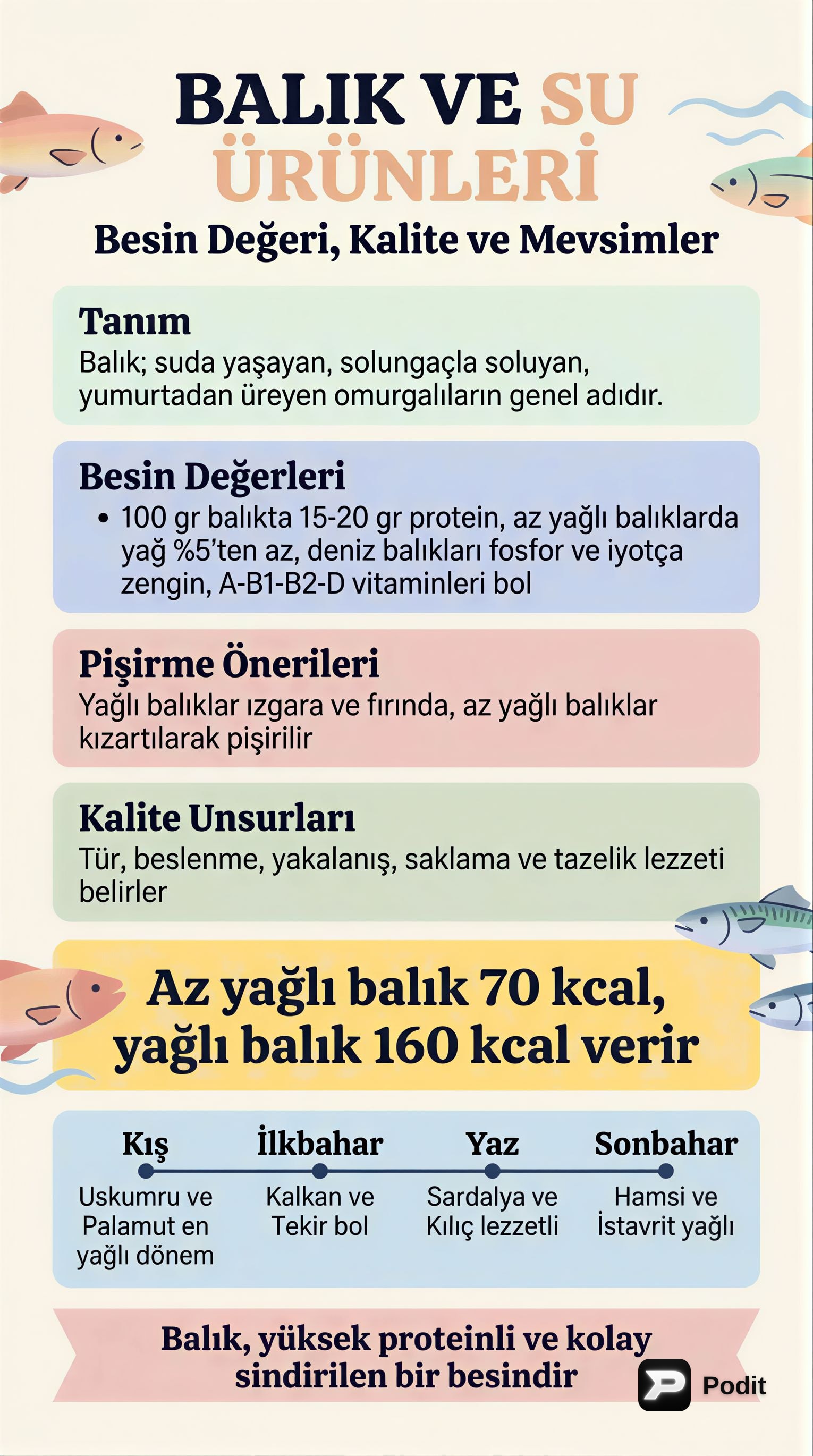 Su ve Diğer Et Ürünlerinin Özellikleri ve Besin Değerleri - görsel özet infografik