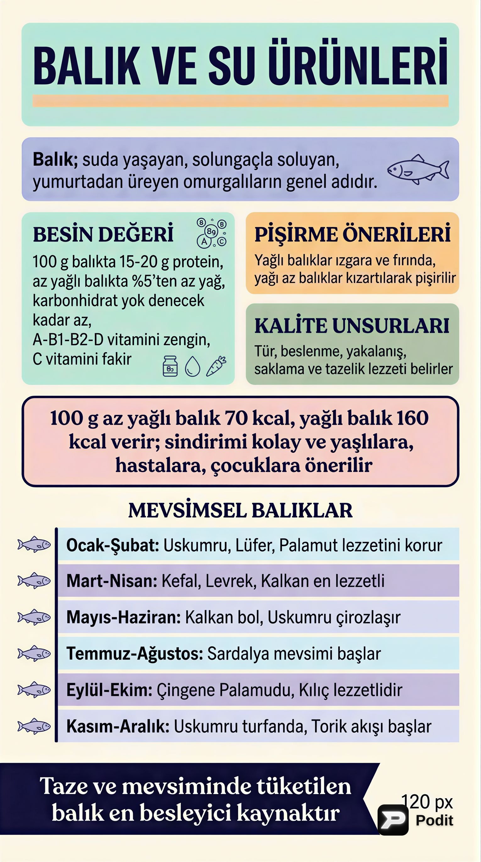 Su Ürünleri ve Diğer Hayvansal Gıdalar: Özellikleri ve Mevsimsel Rehber - görsel özet infografik