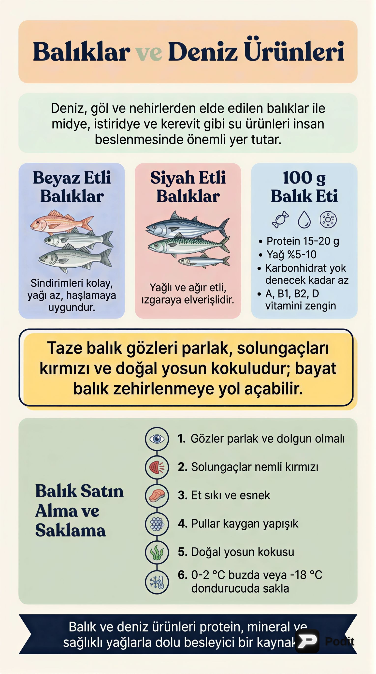 Balık ve Deniz Ürünleri: Seçimden Saklamaya Kapsamlı Rehber - görsel özet infografik
