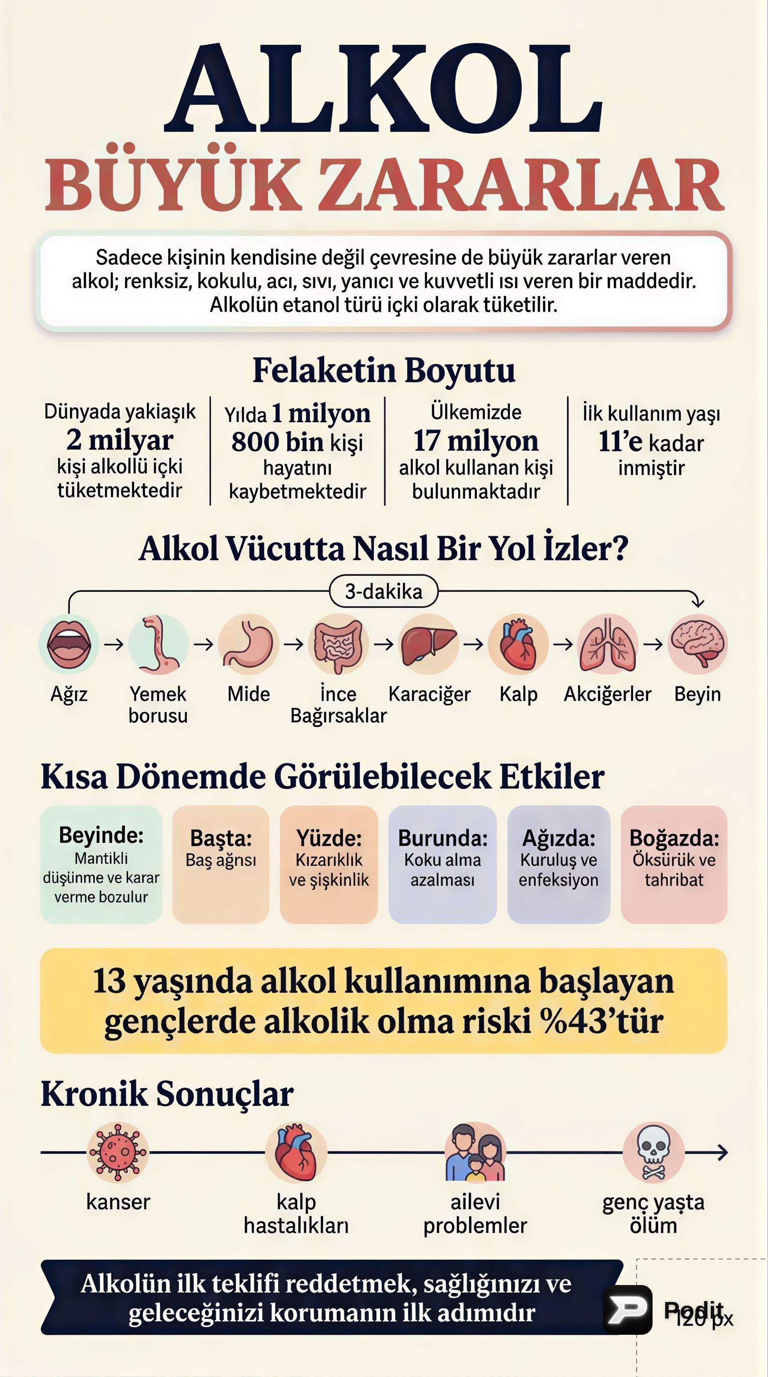 Alkolün Zararları ve Gençlerde Alkol Kullanımı - görsel özet infografik