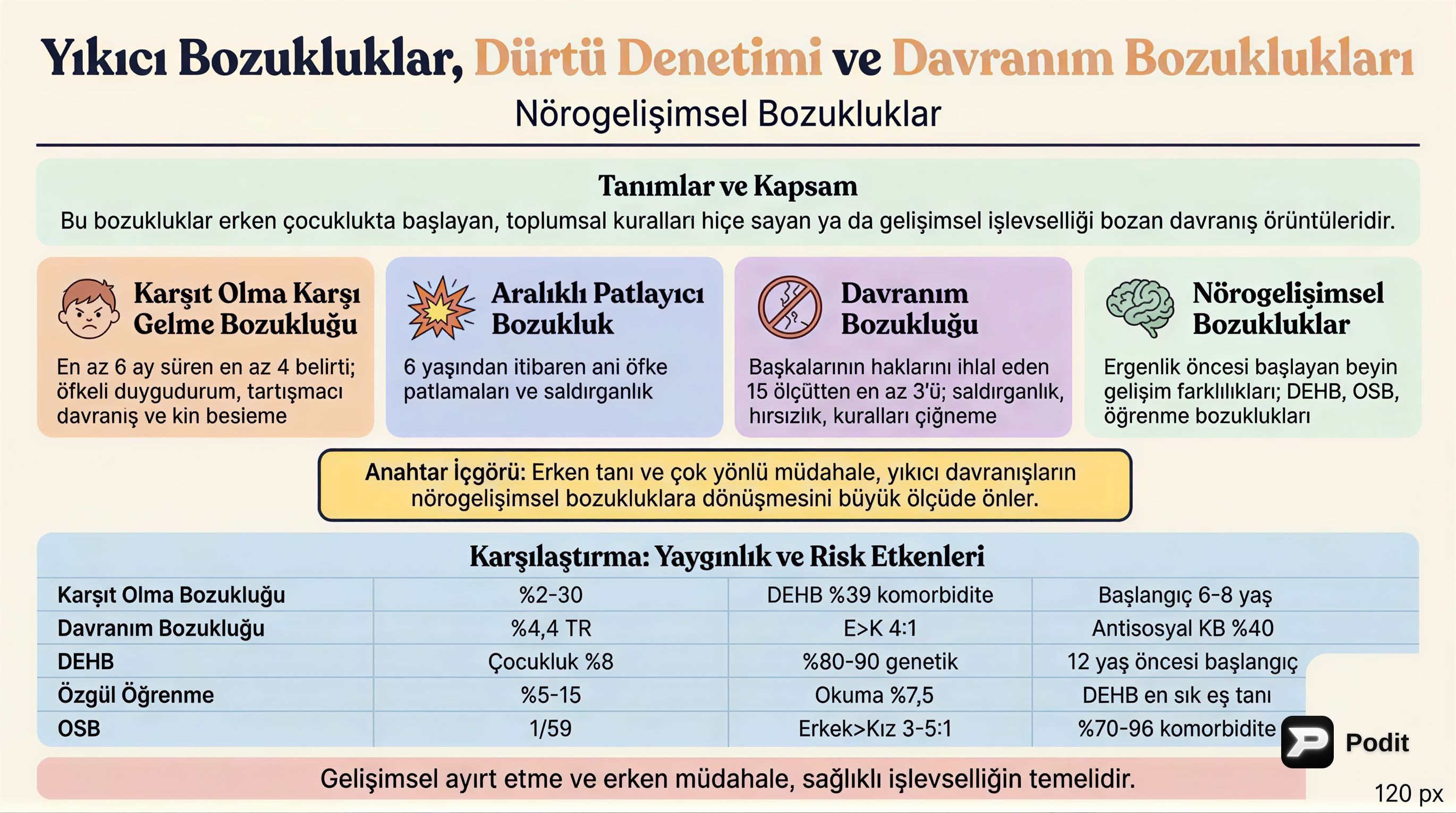 Yıkıcı, Dürtü, Davranım ve Nörogelişimsel Bozukluklar - görsel özet infografik