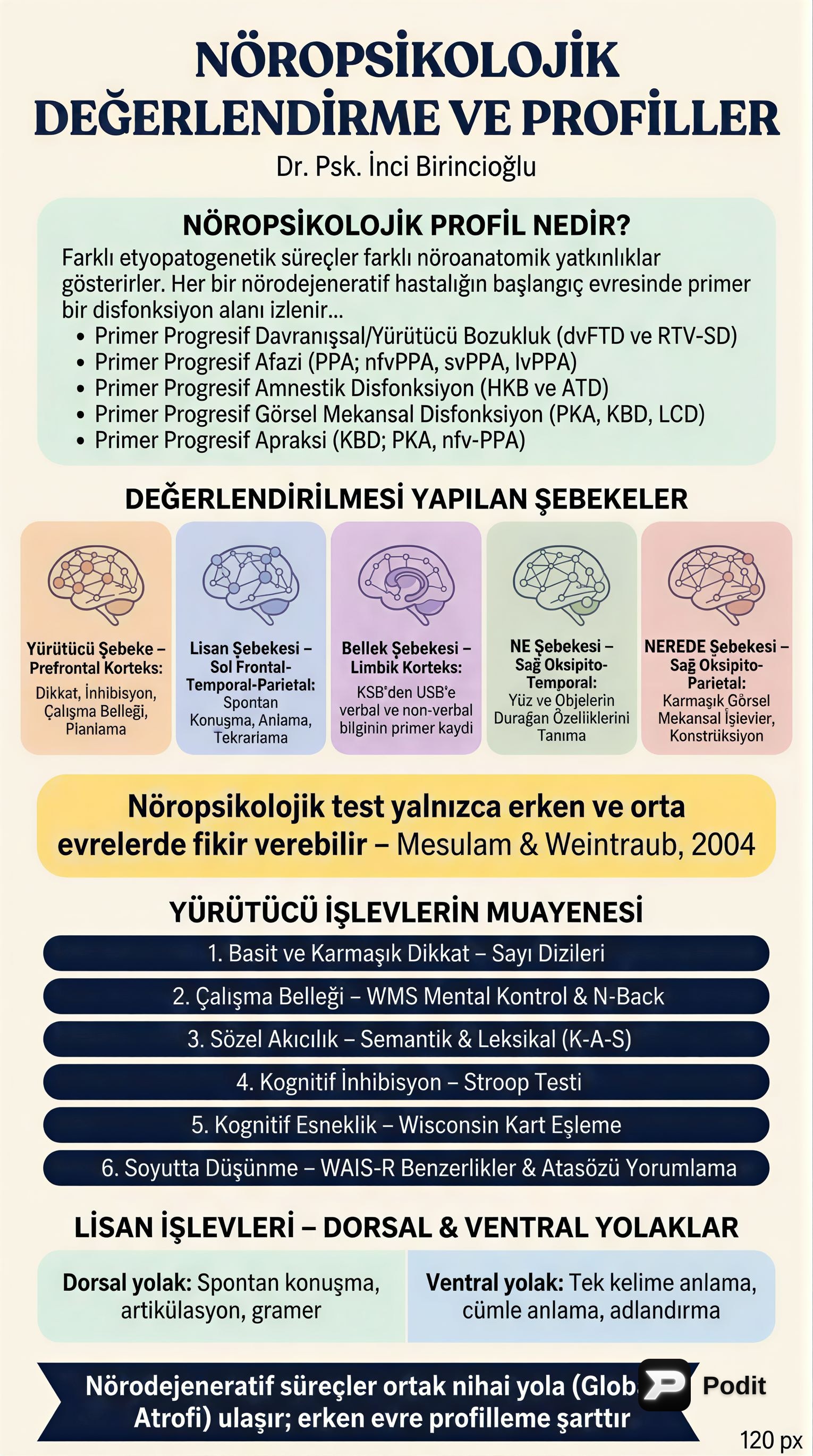 Nöropsikolojik Değerlendirme ve Profiller - görsel özet infografik