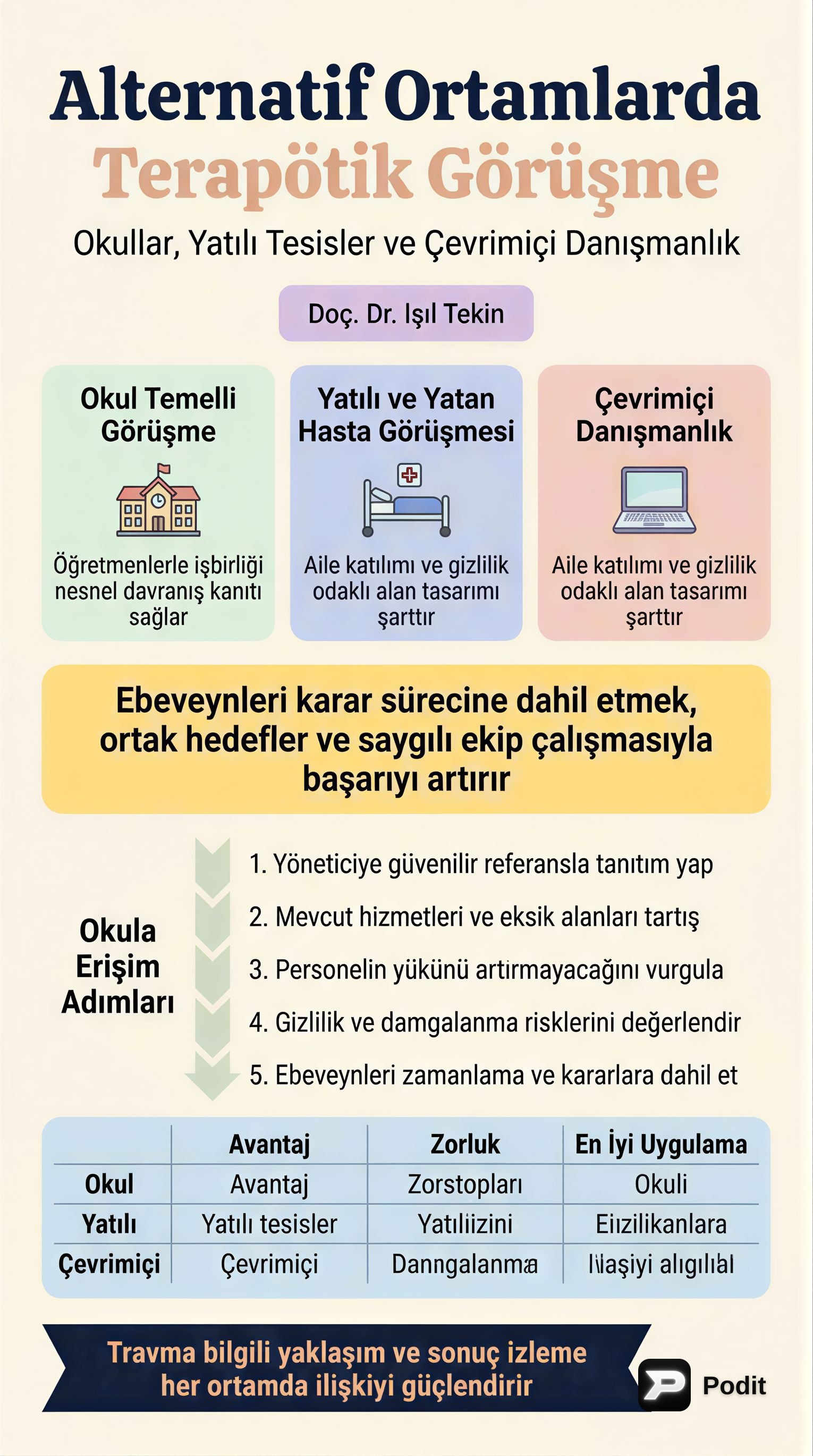 Alternatif Ortamlarda Terapötik Görüşme Teknikleri - görsel özet infografik