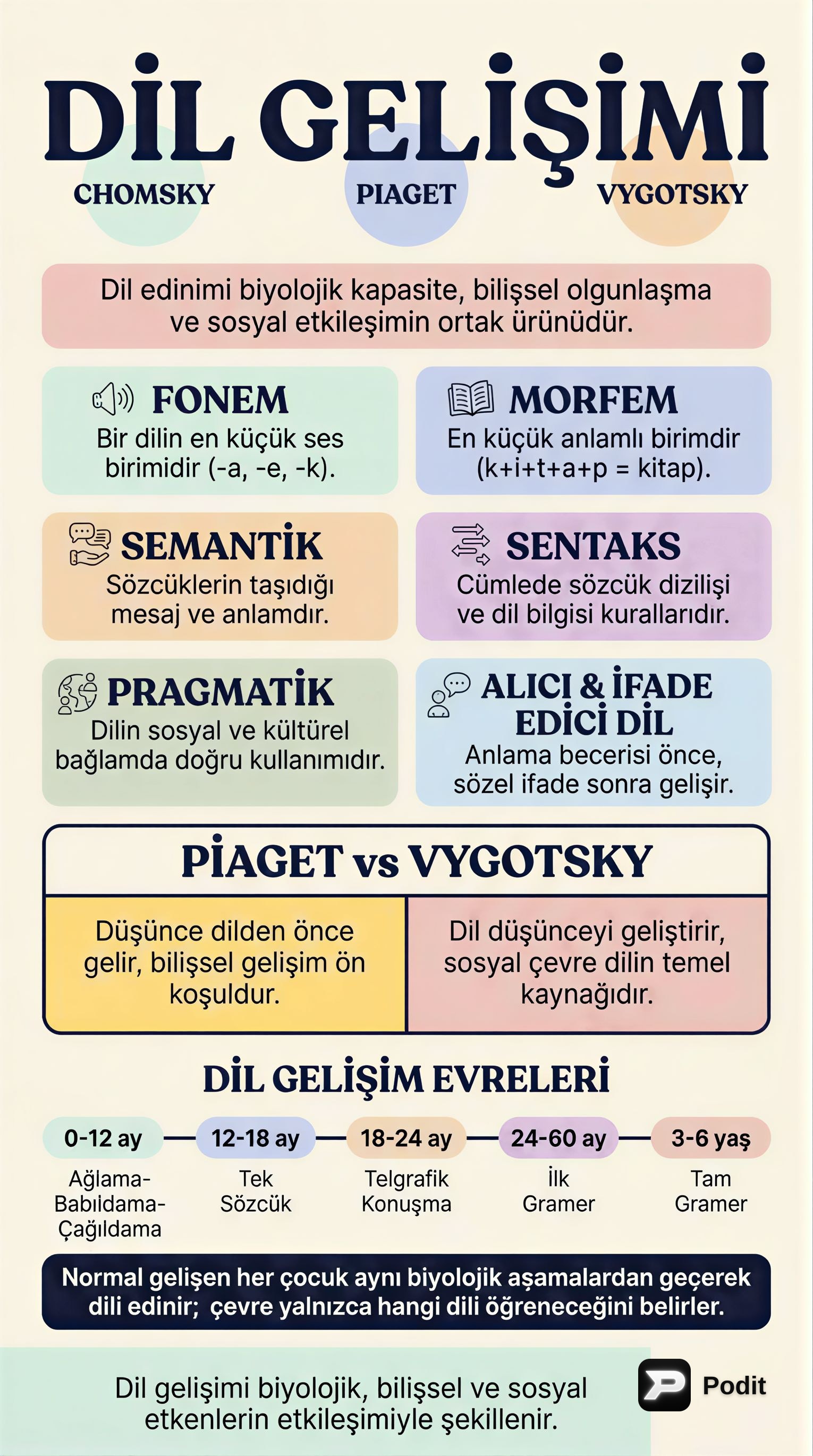 Dil Gelişimi: Kuramlar, Evreler ve Temel Kavramlar - görsel özet infografik