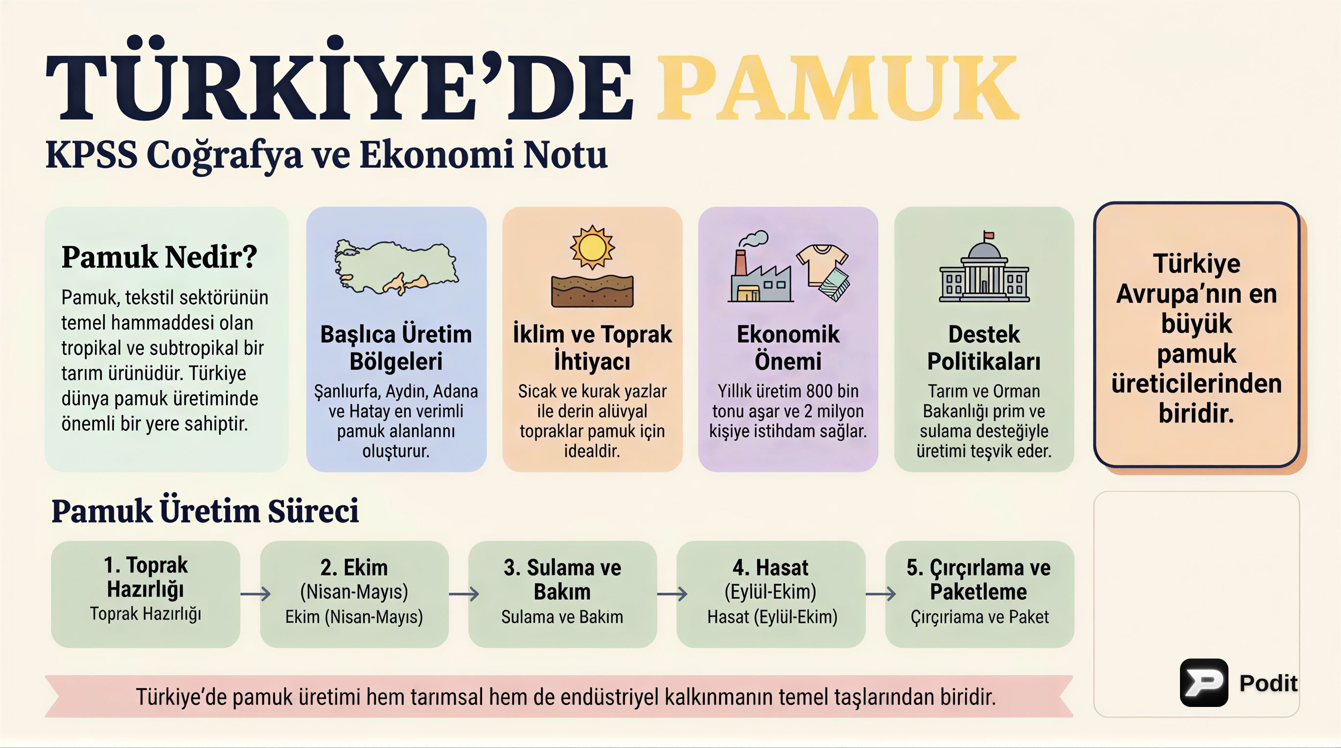 KPSS İçin Pamuk: Türkiye'deki Önemi ve Üretim Alanları - görsel özet infografik