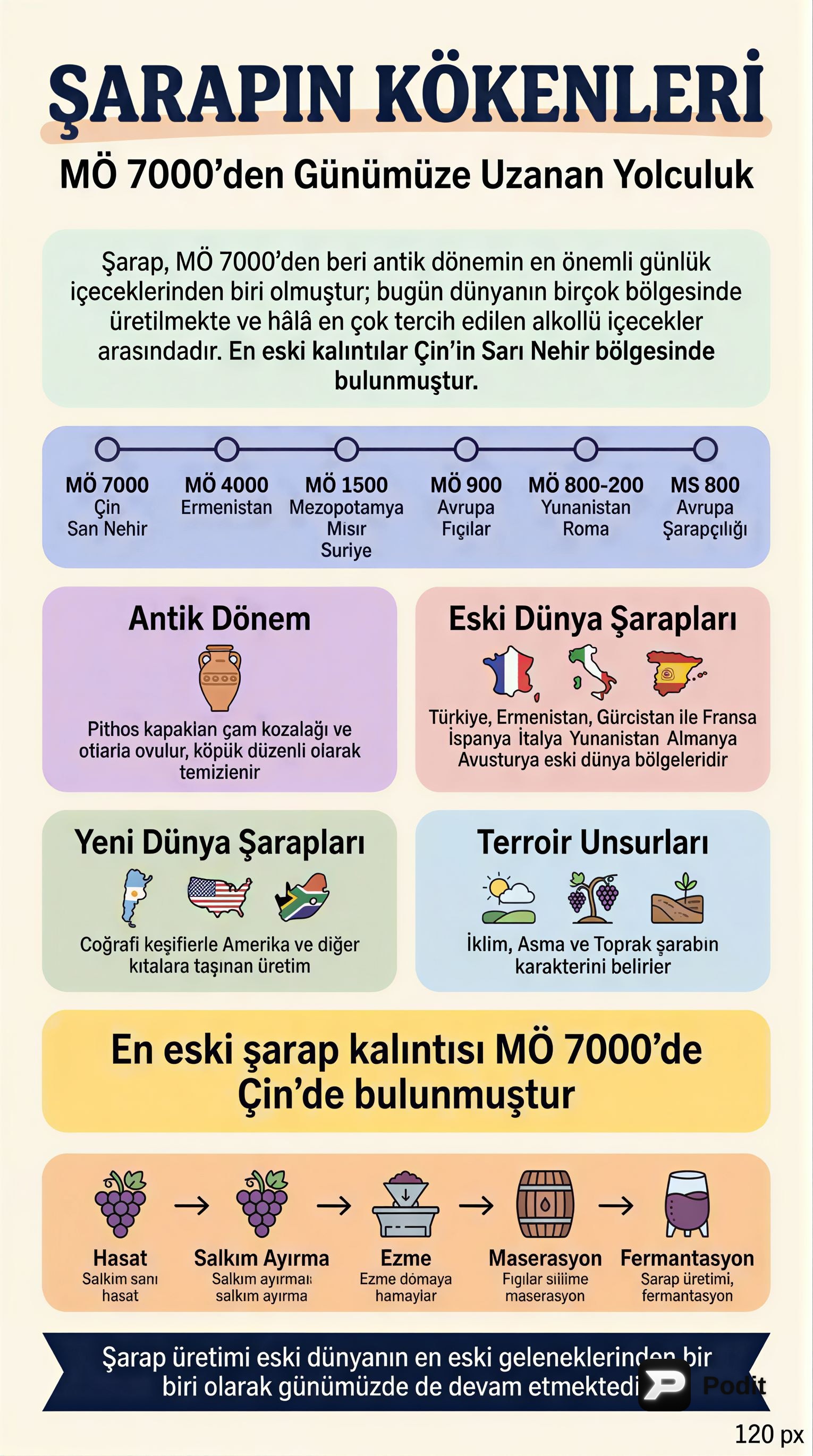 Şarabın Kökenleri ve Üretim Süreci - görsel özet infografik